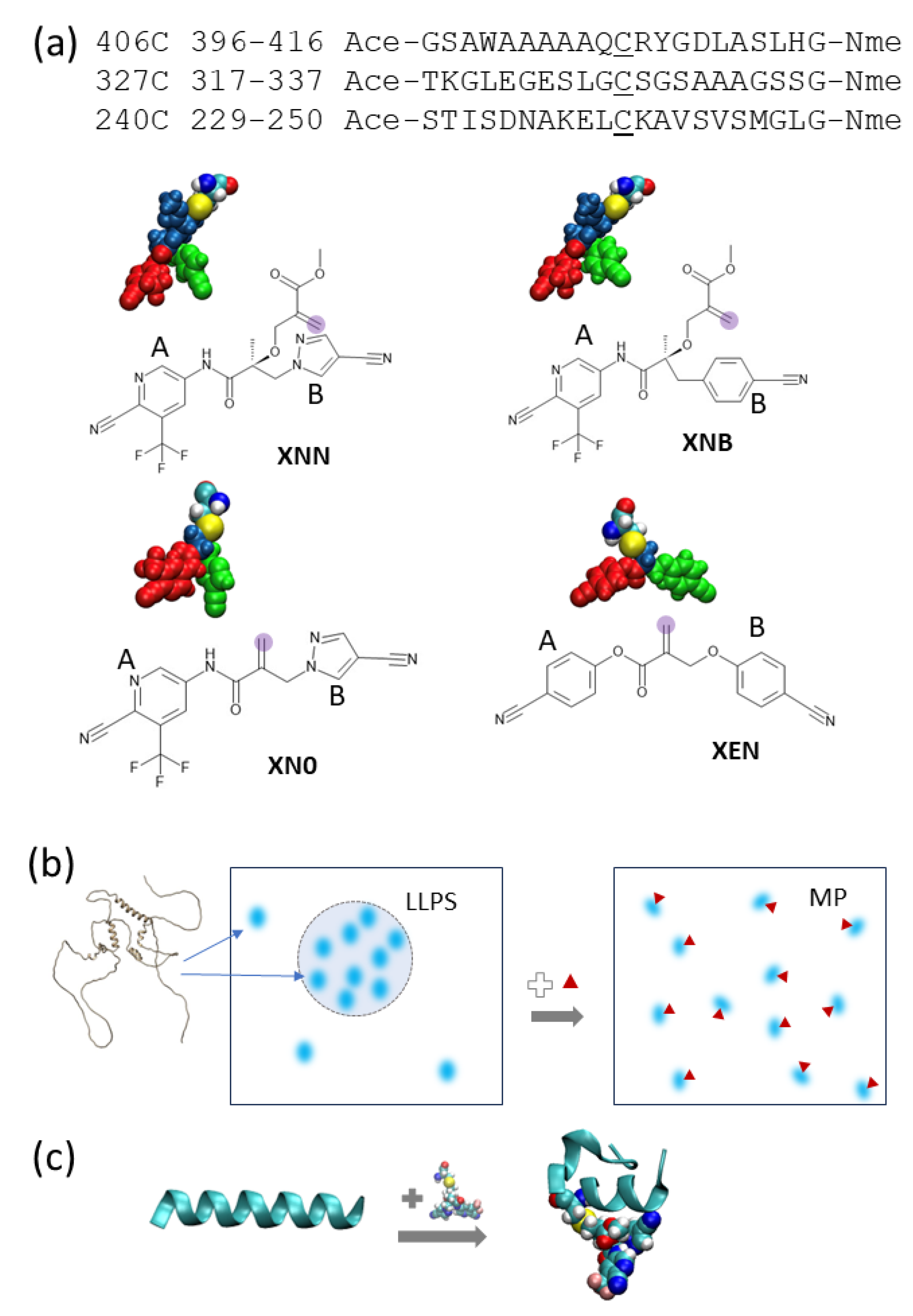 Biology 12 01442 g001