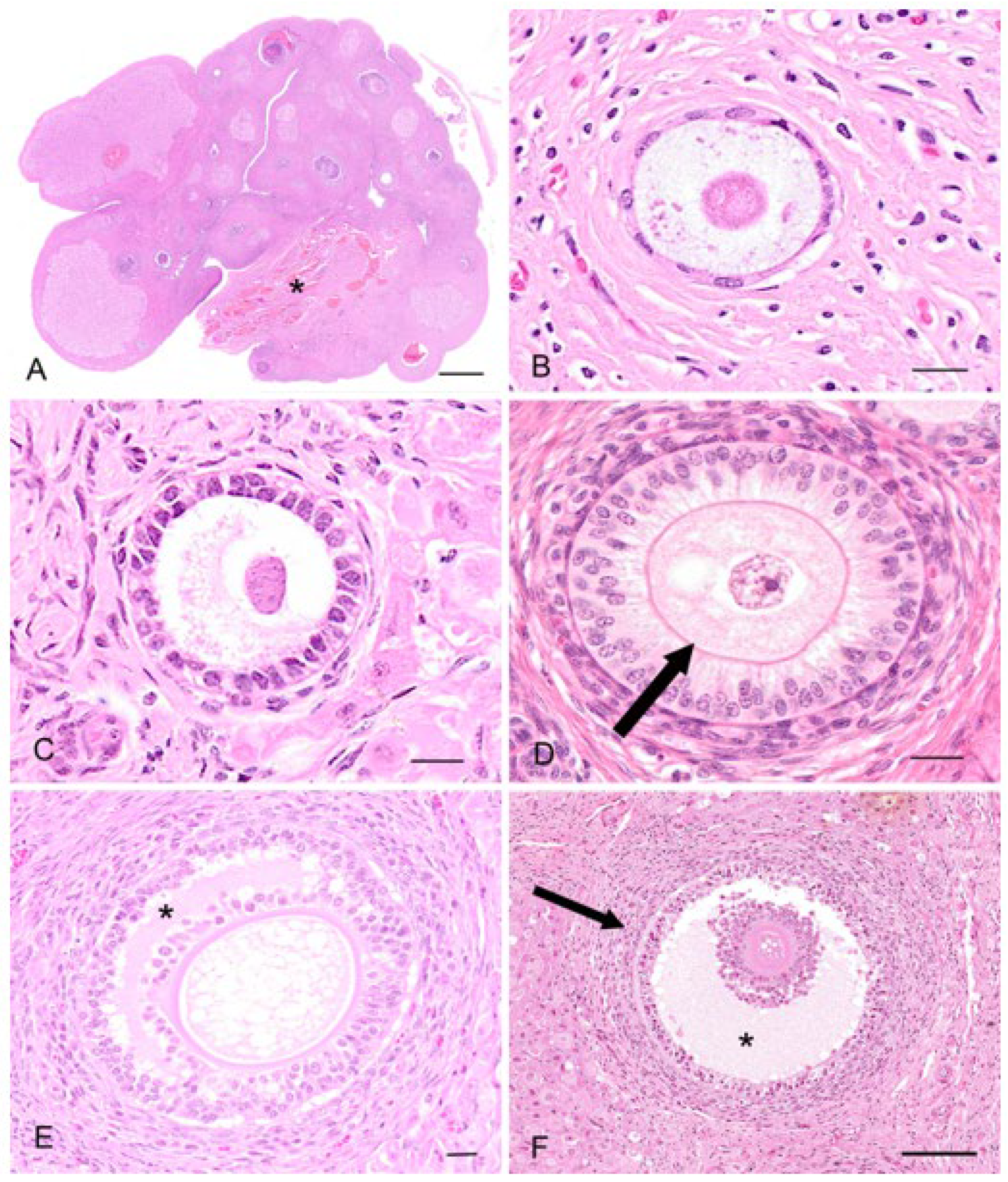 Biology 12 01445 g003