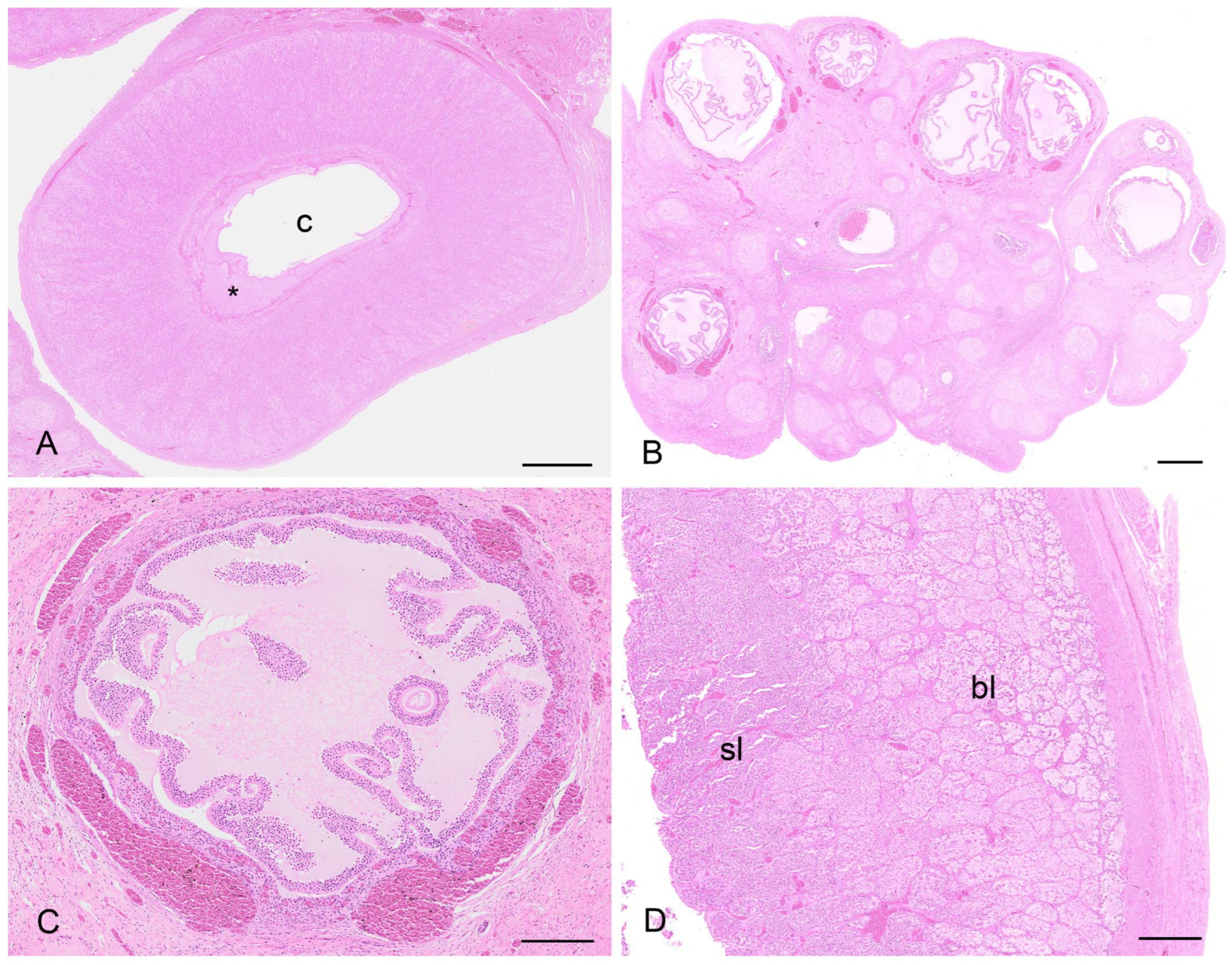 Biology 12 01445 g012