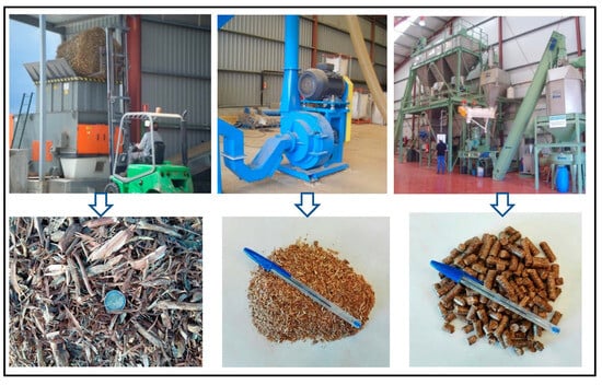 Biology 12 01451 g0a3