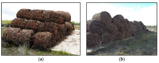 Biology 12 01451 g0a4