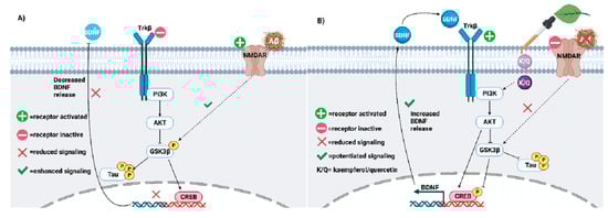 Biology 12 01453 g004