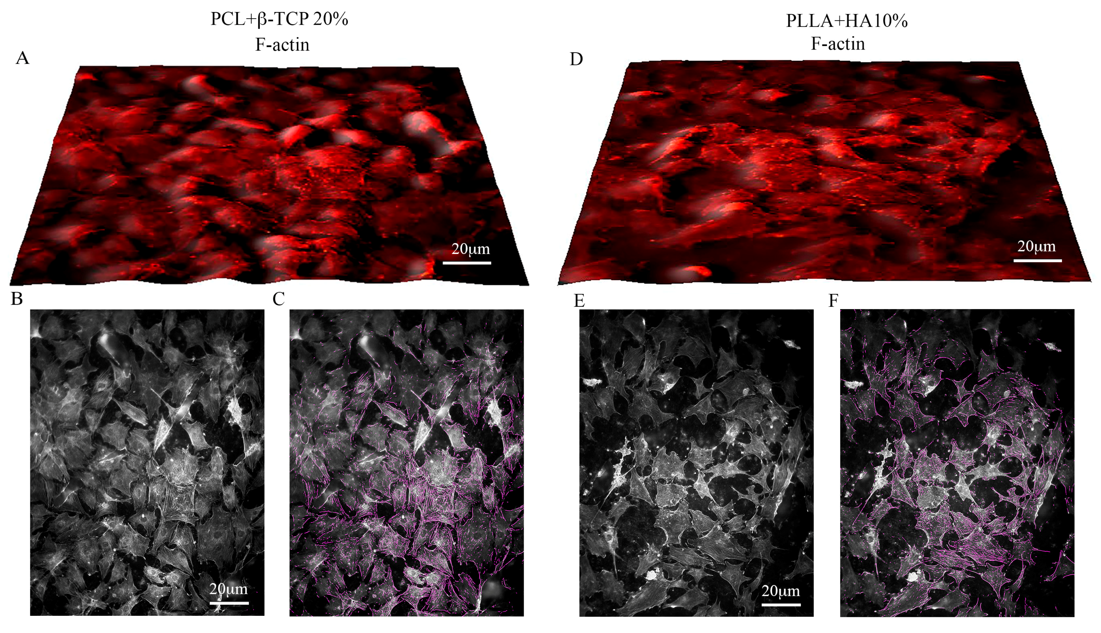 Biology 12 01474 g004