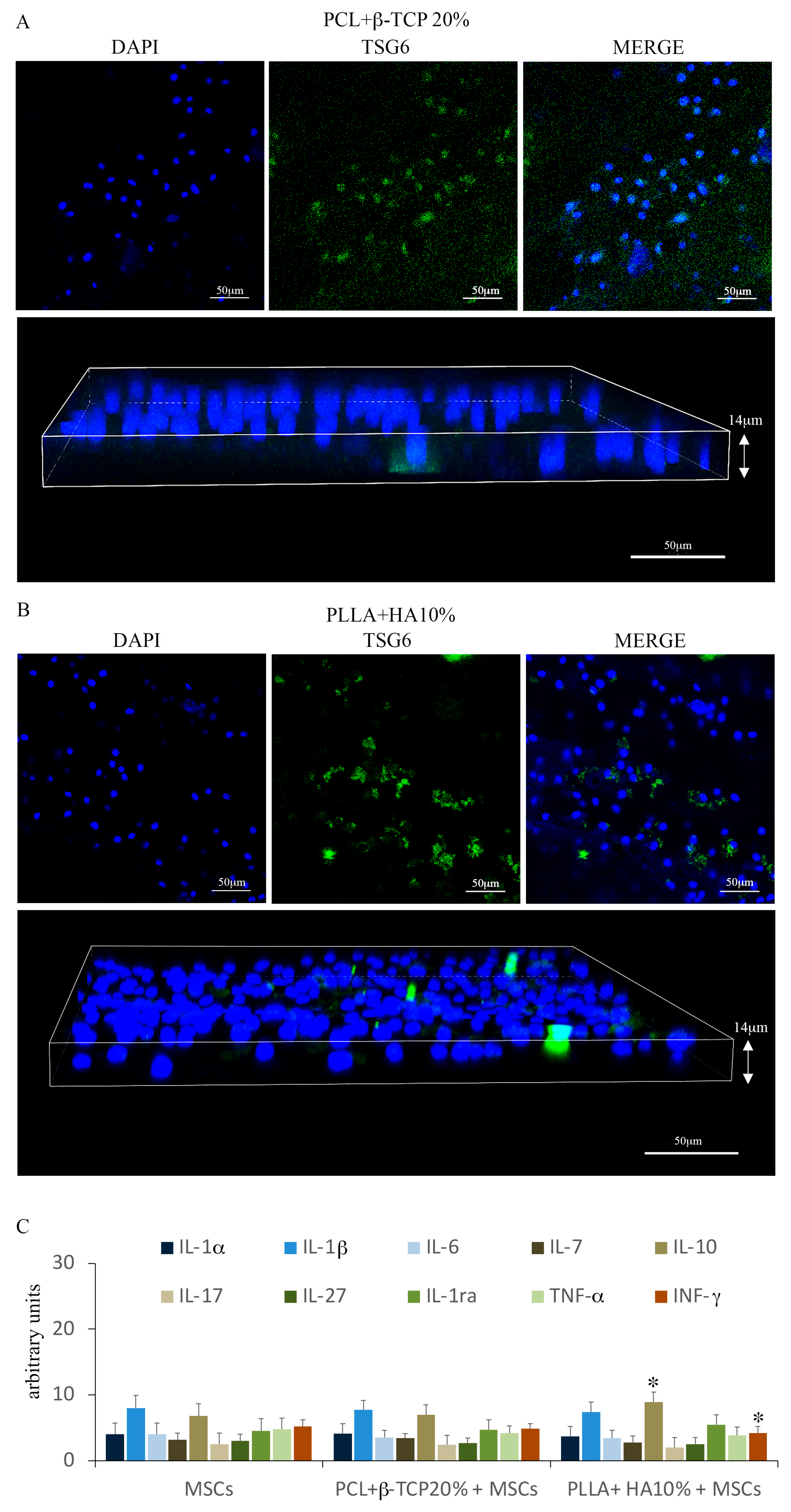 Biology 12 01474 g005
