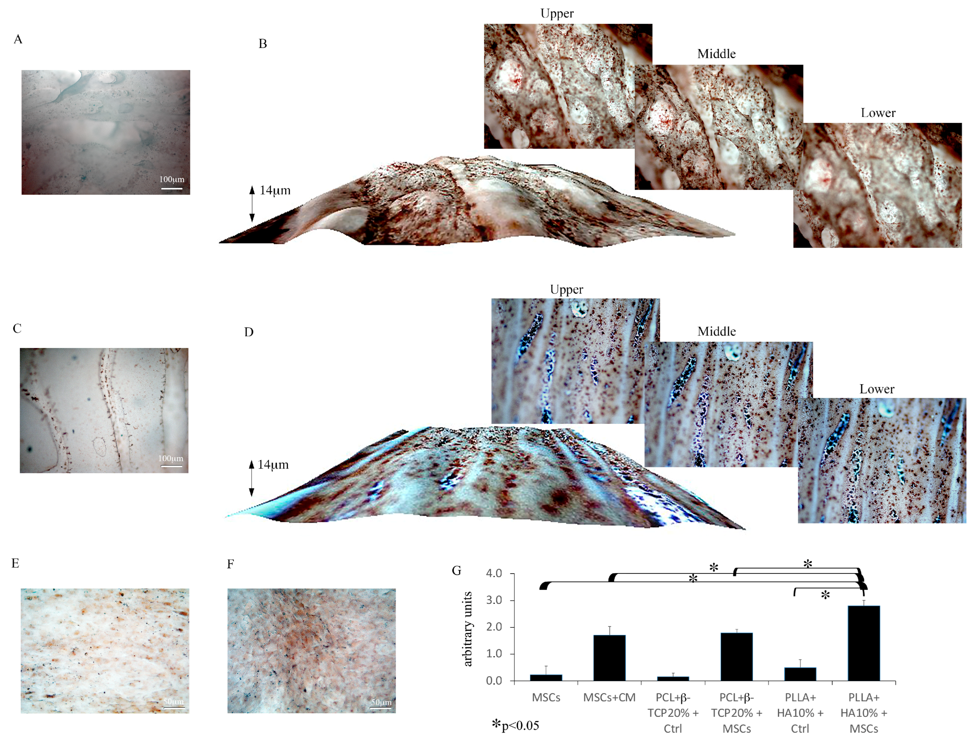 Biology 12 01474 g007