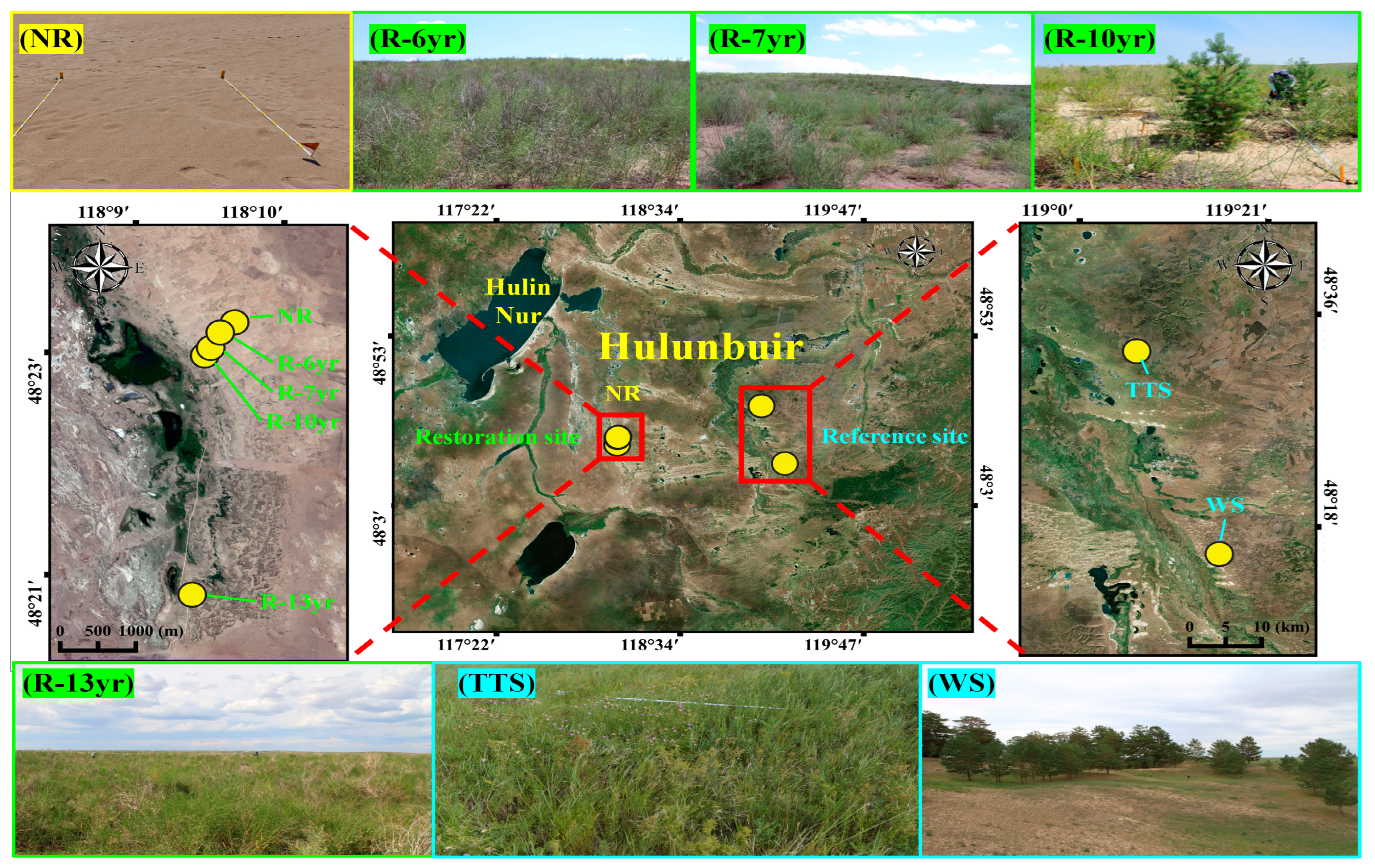 Biology 12 01479 g002
