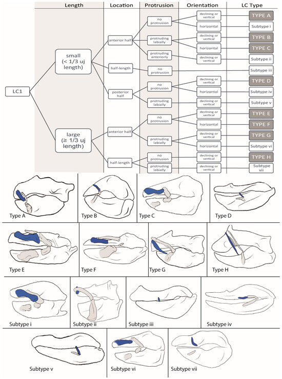 Biology 12 01486 g002