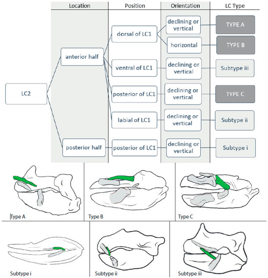 Biology 12 01486 g003