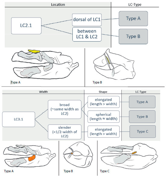 Biology 12 01486 g004