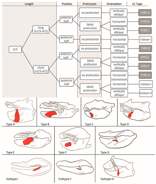 Biology 12 01486 g005