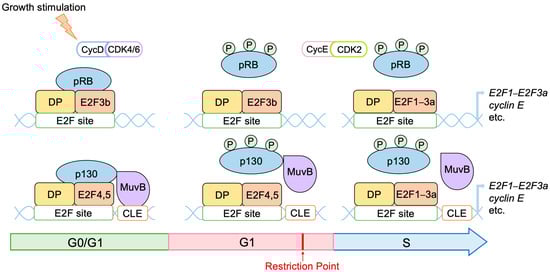 Biology 12 01511 g002