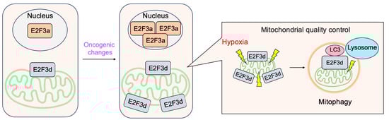 Biology 12 01511 g016