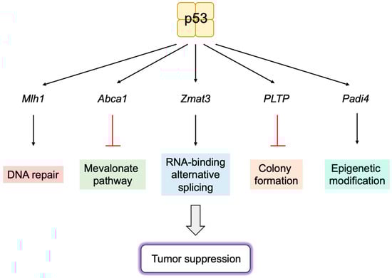 Biology 12 01511 g019