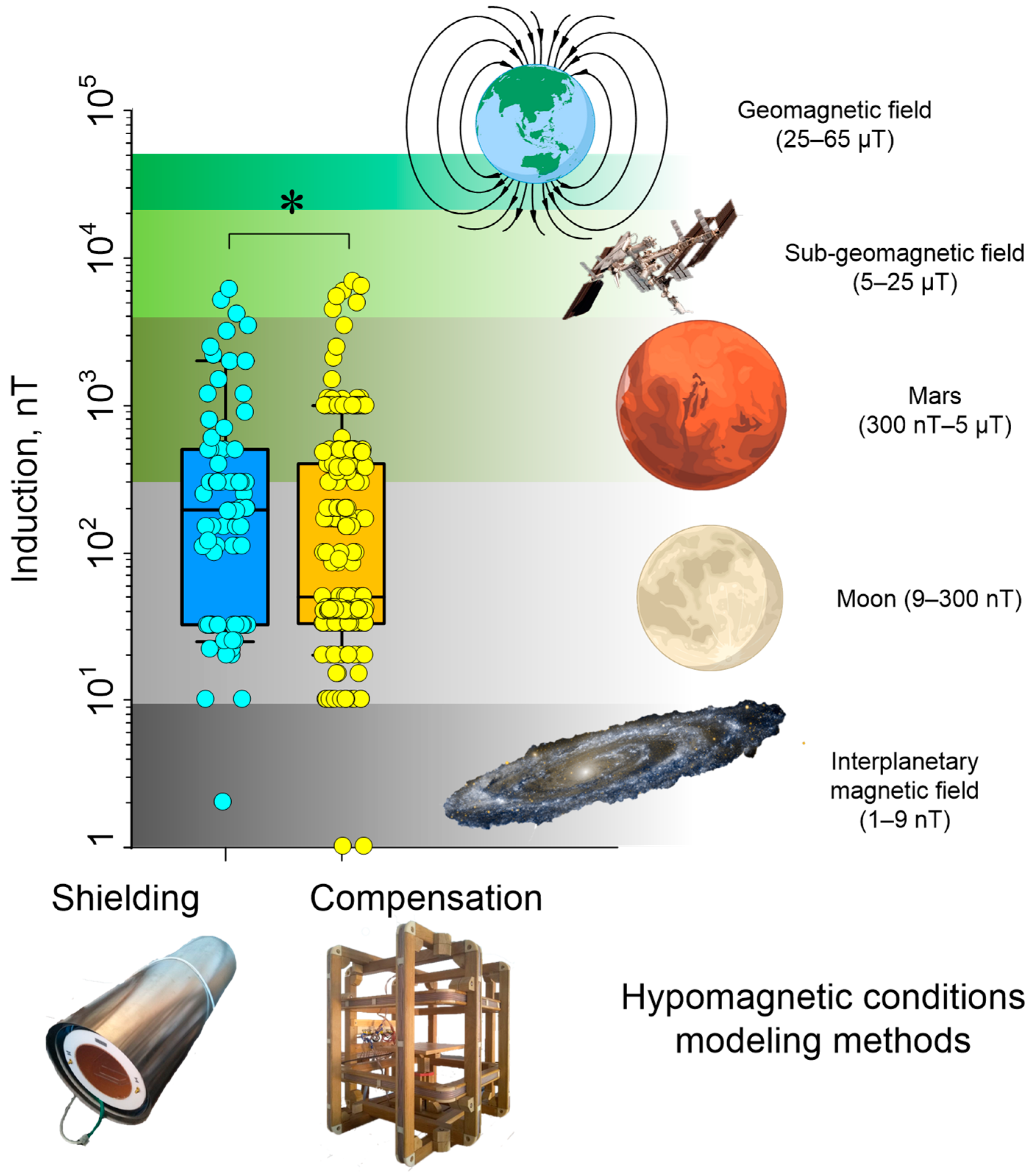 Biology 12 01513 g002
