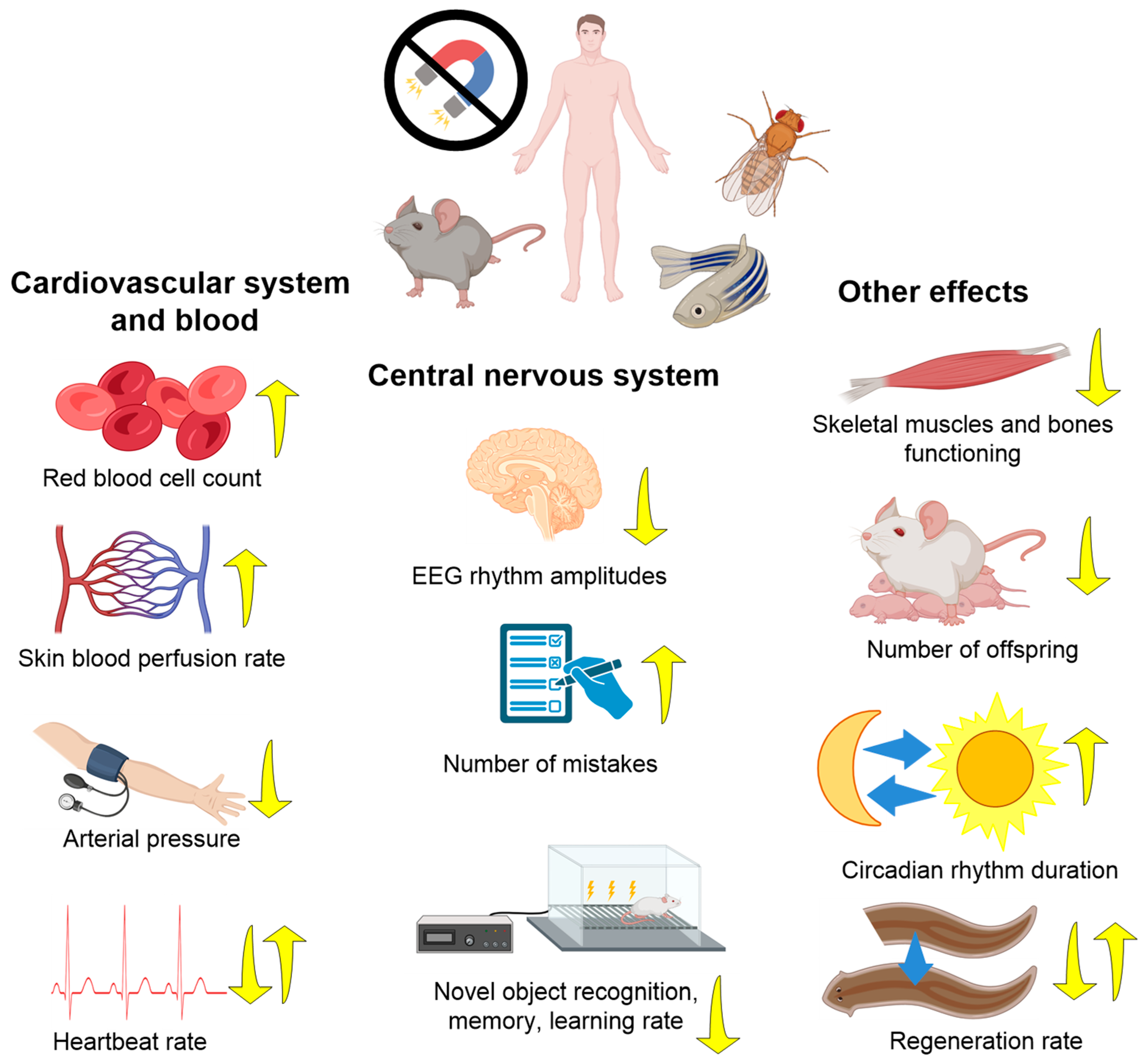 Biology 12 01513 g003