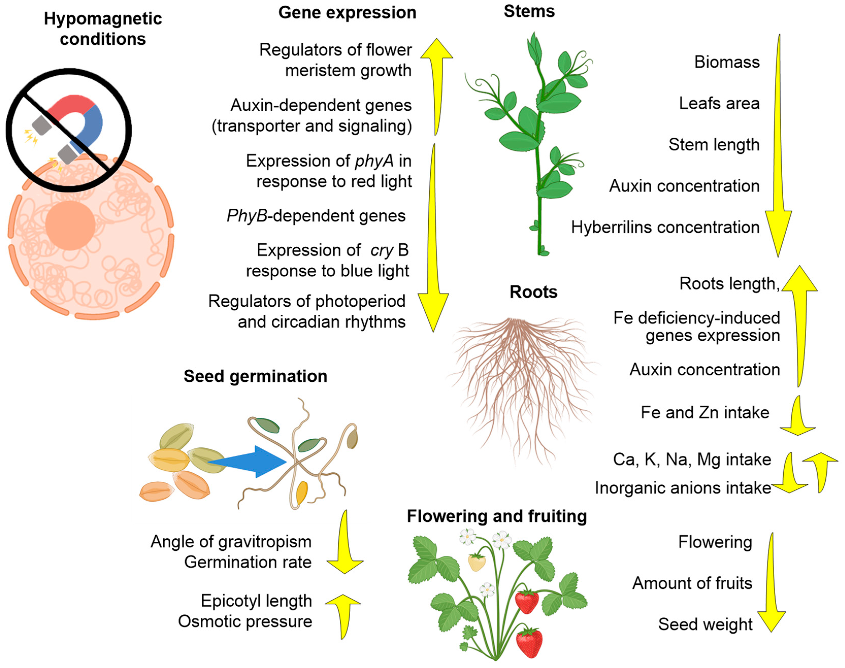 Biology 12 01513 g004