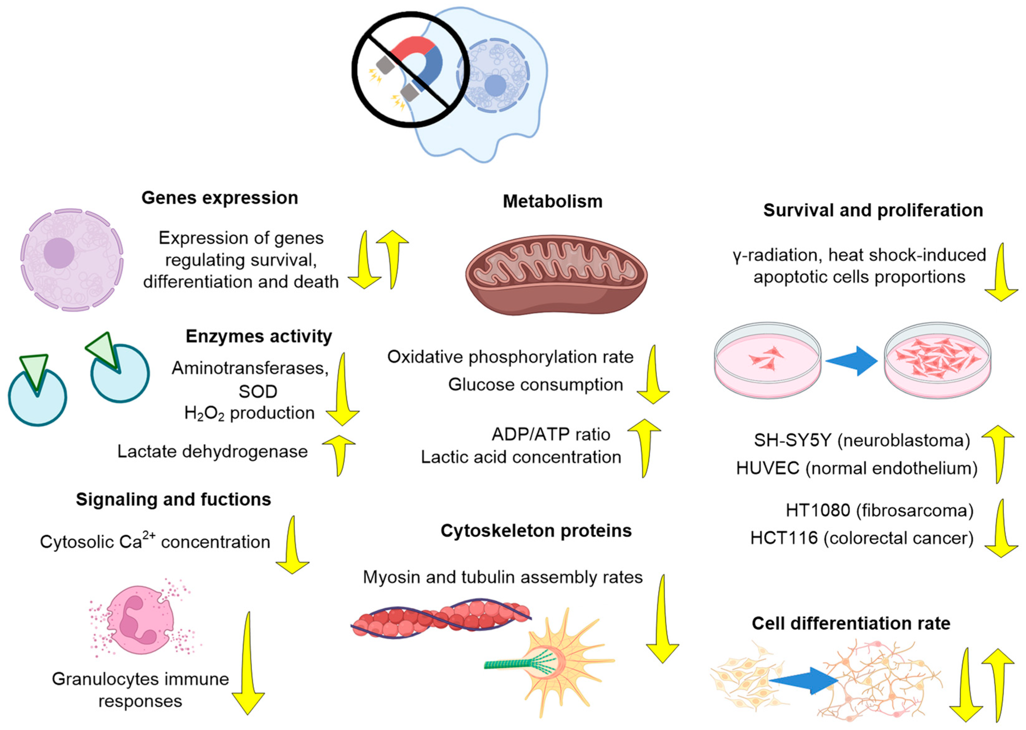 Biology 12 01513 g005