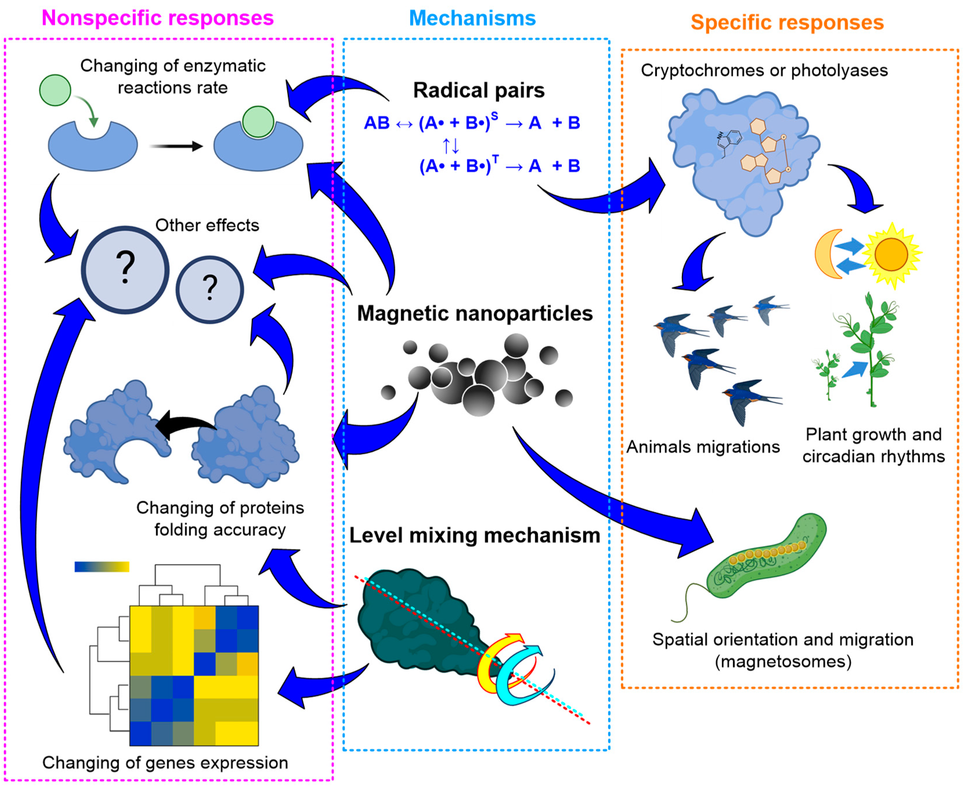 Biology 12 01513 g006