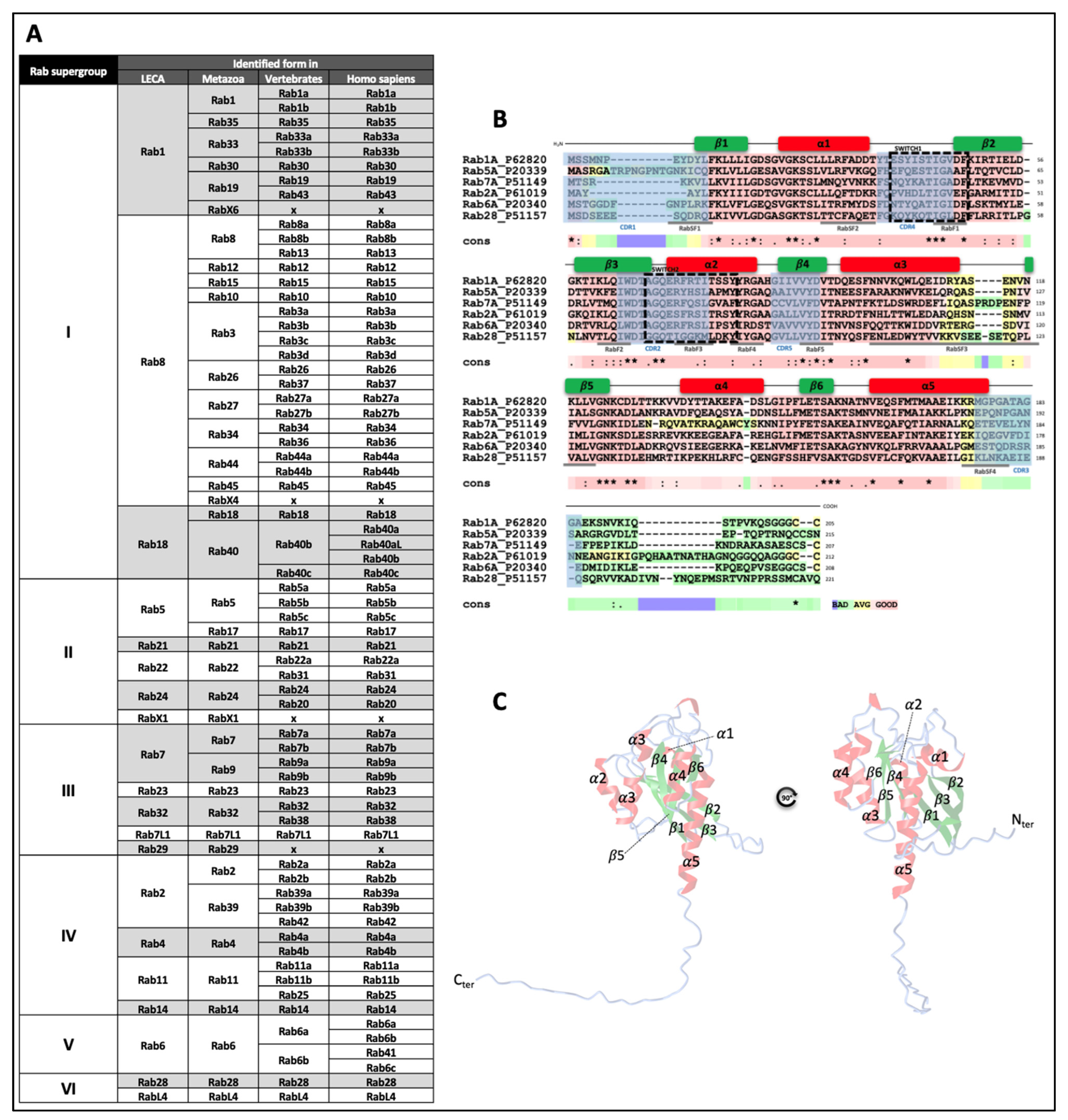 Biology 12 01530 g001
