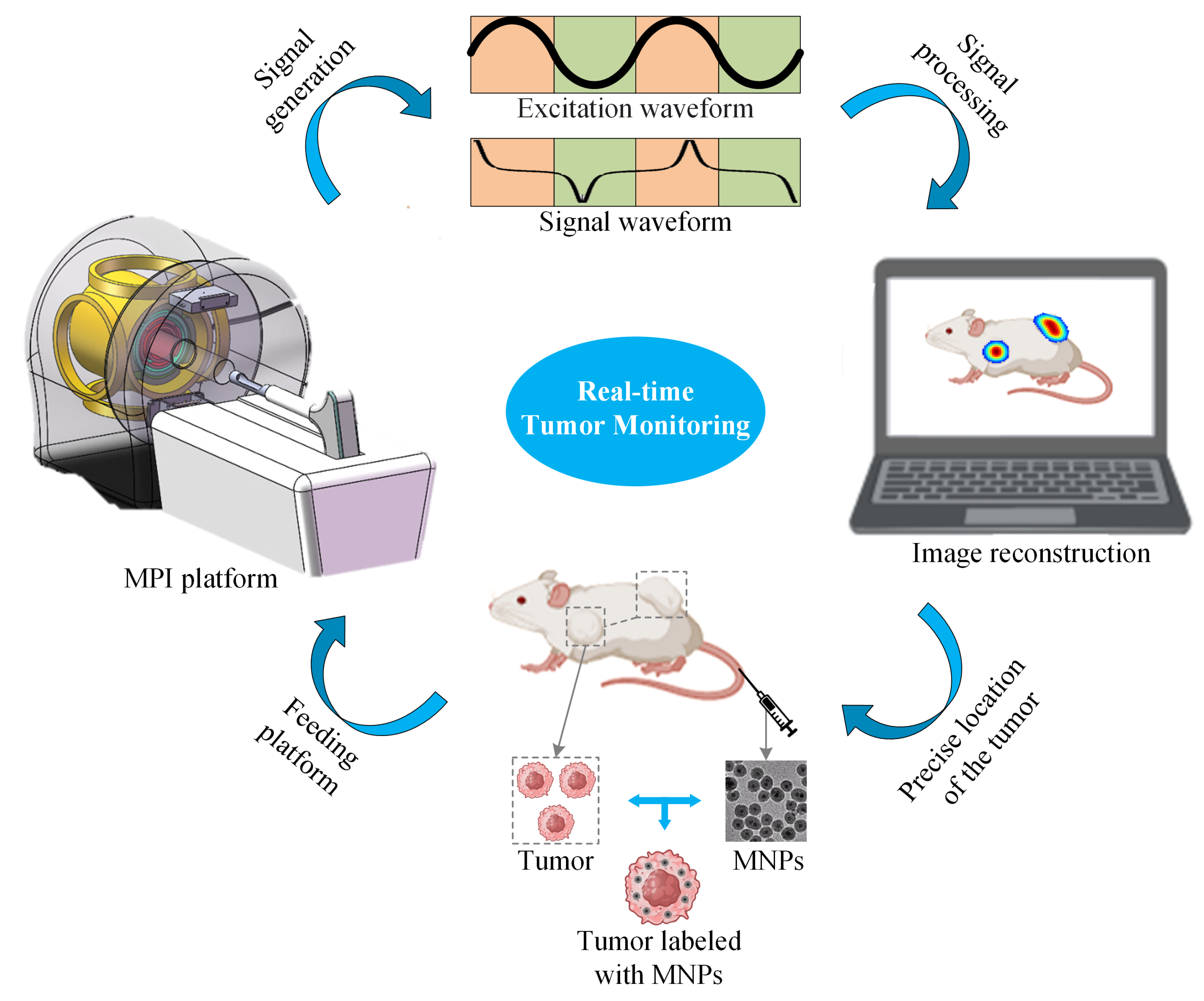 Biology 13 00002 g002