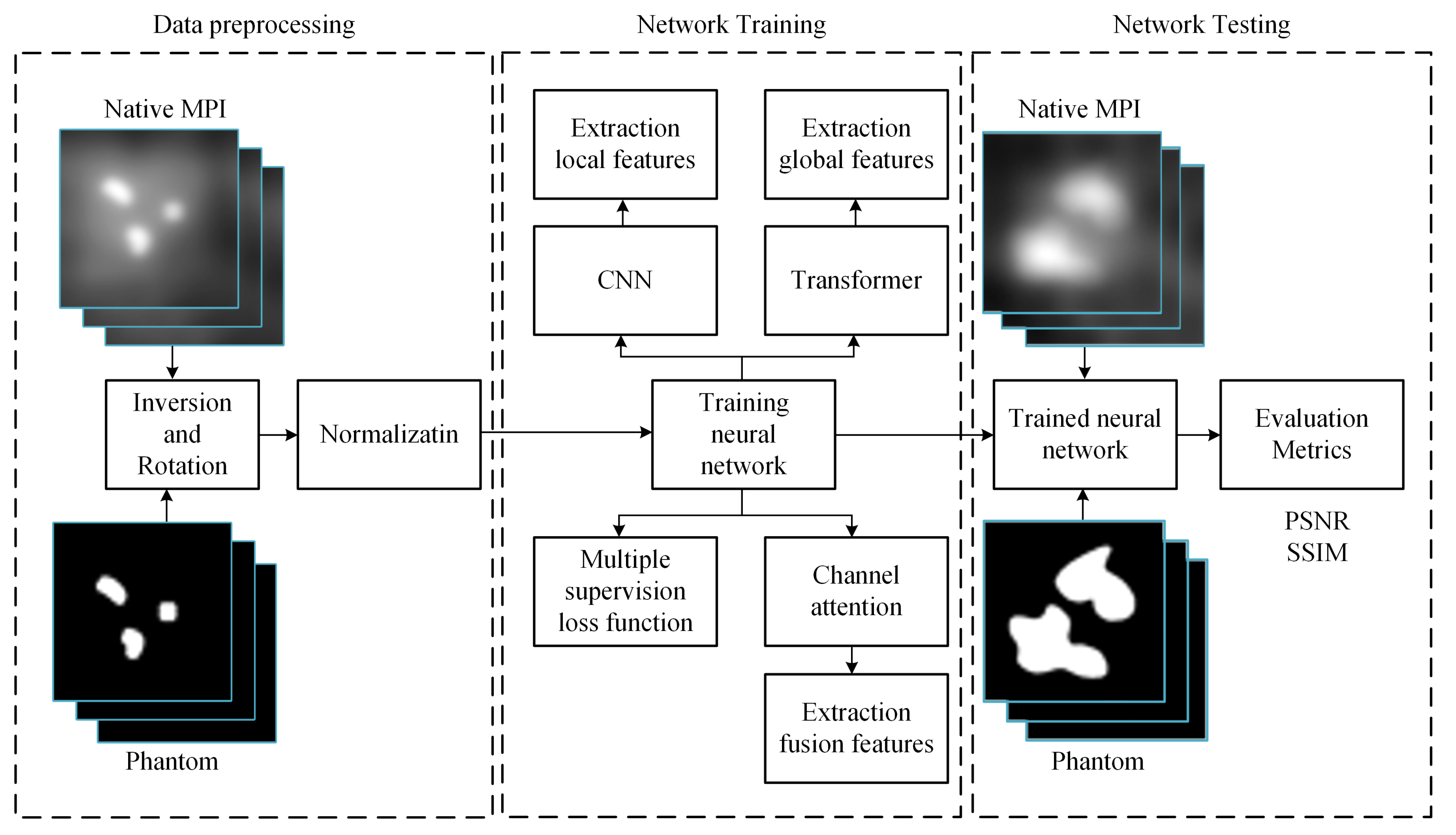 Biology 13 00002 g003