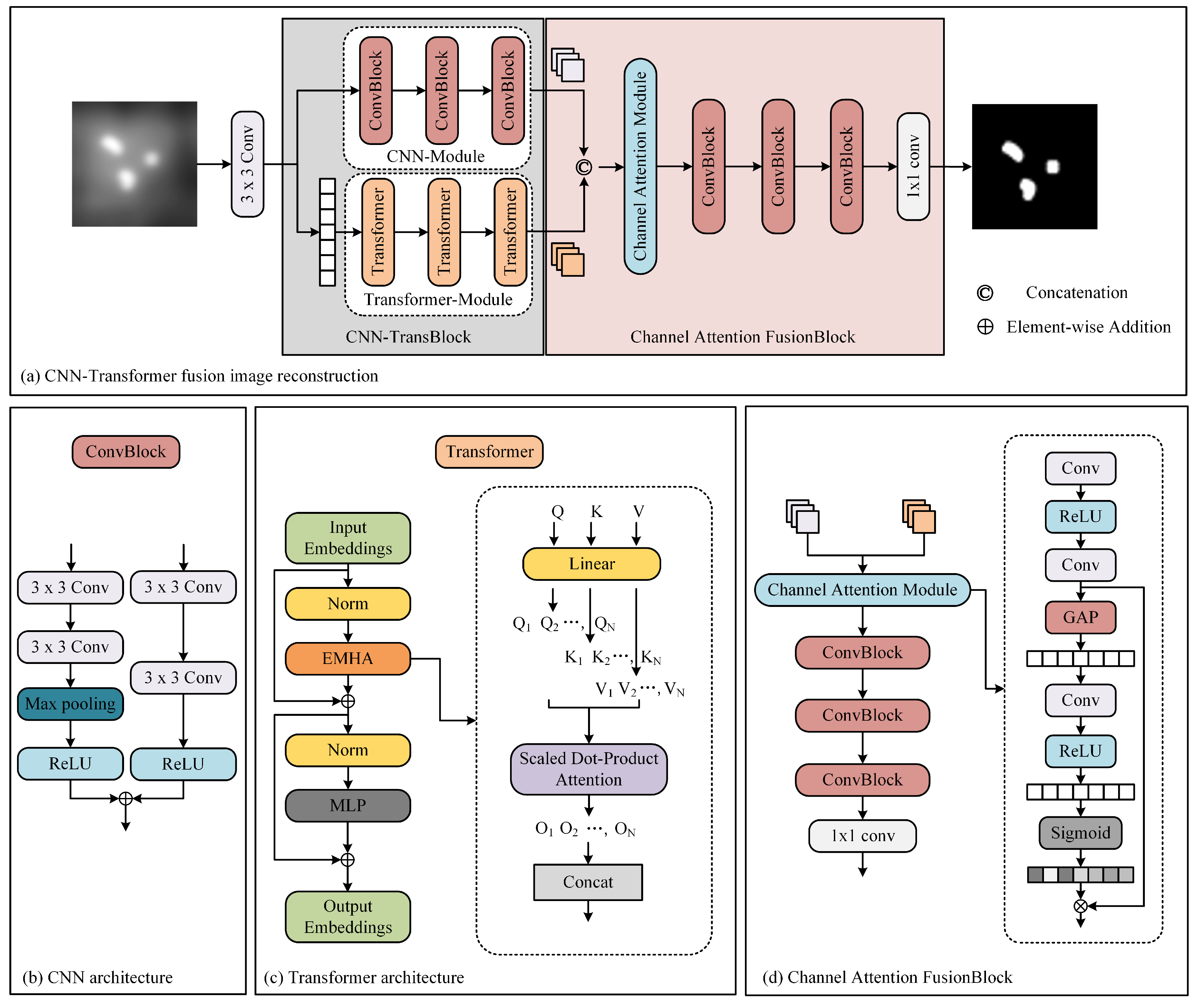 Biology 13 00002 g004
