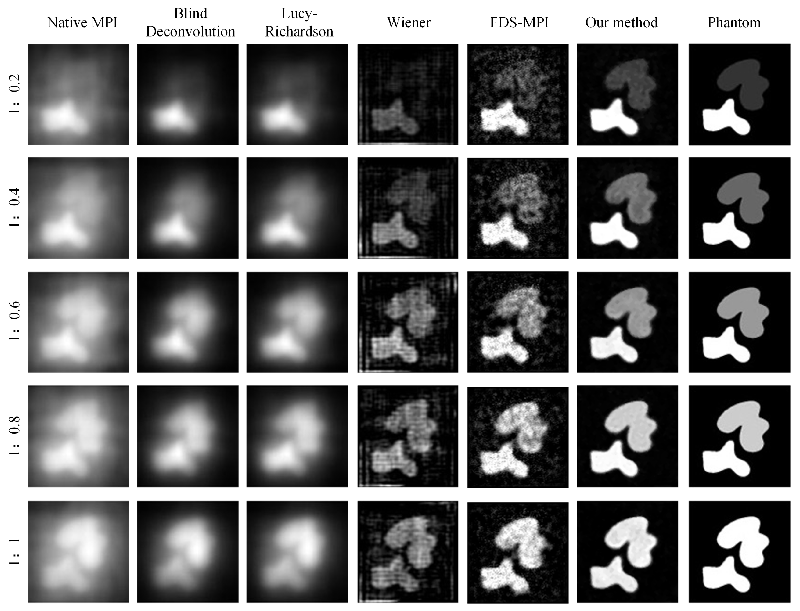 Biology 13 00002 g006
