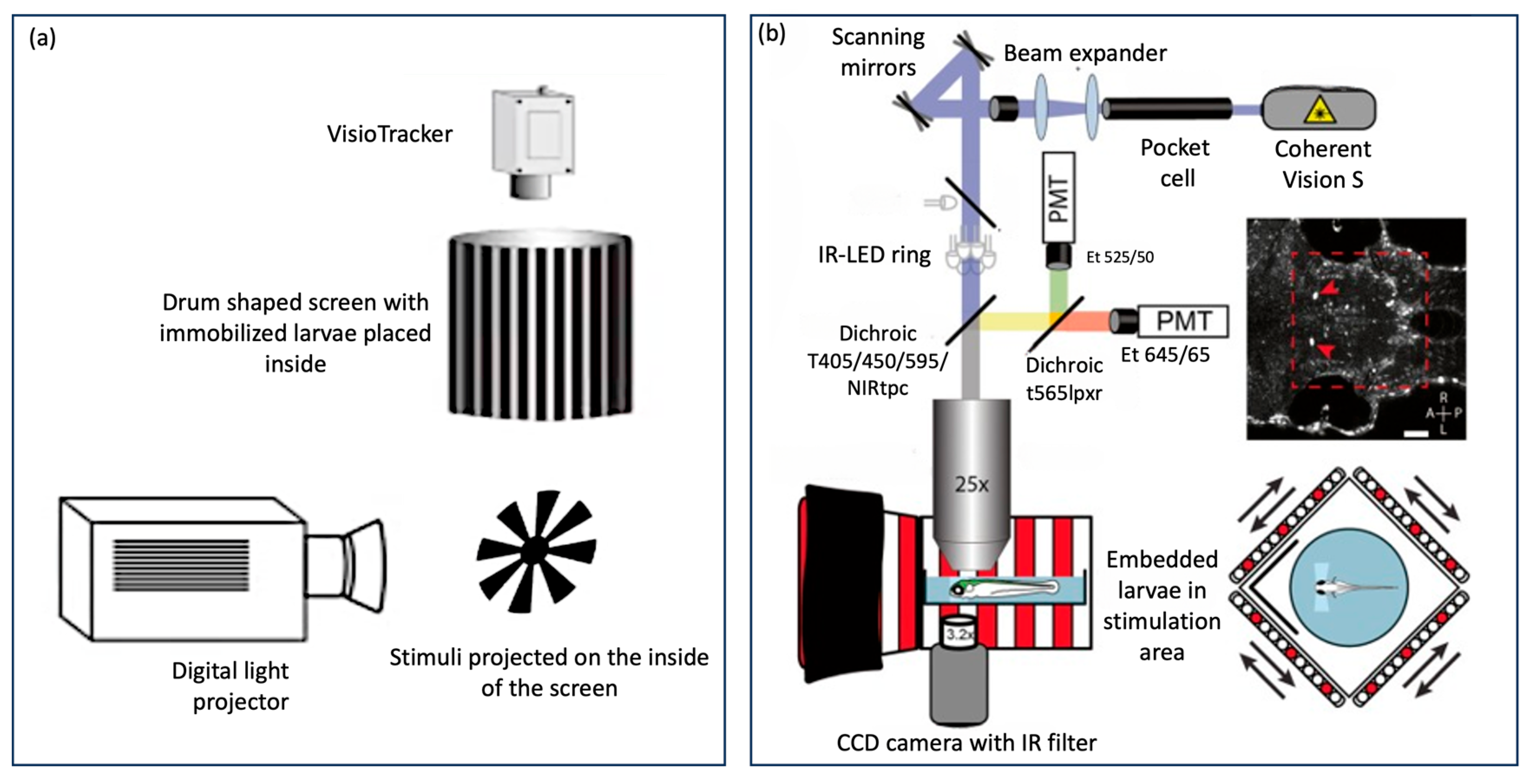 Biology 13 00004 g004 Biology 13 00004 g004
