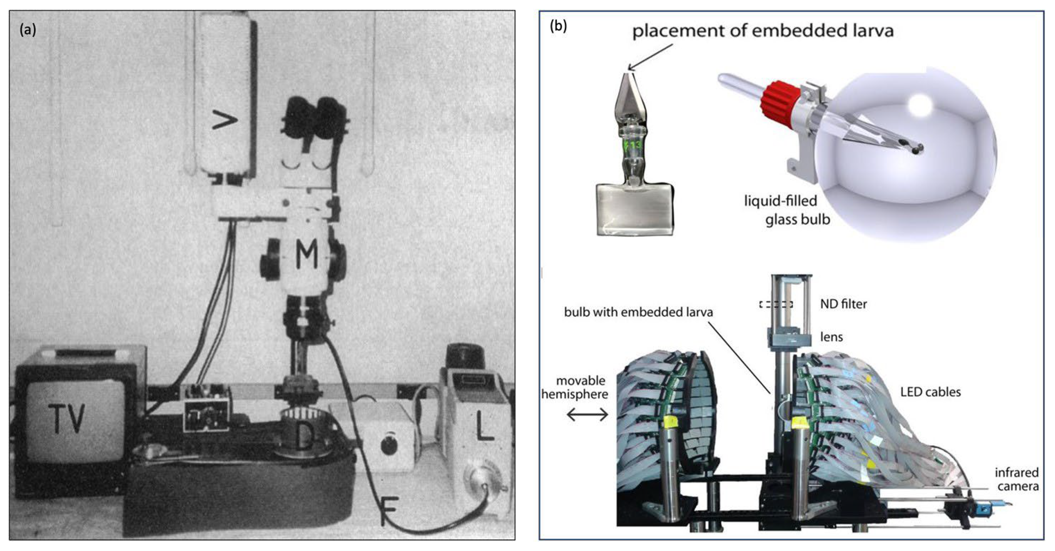 Biology 13 00004 g005 Biology 13 00004 g005