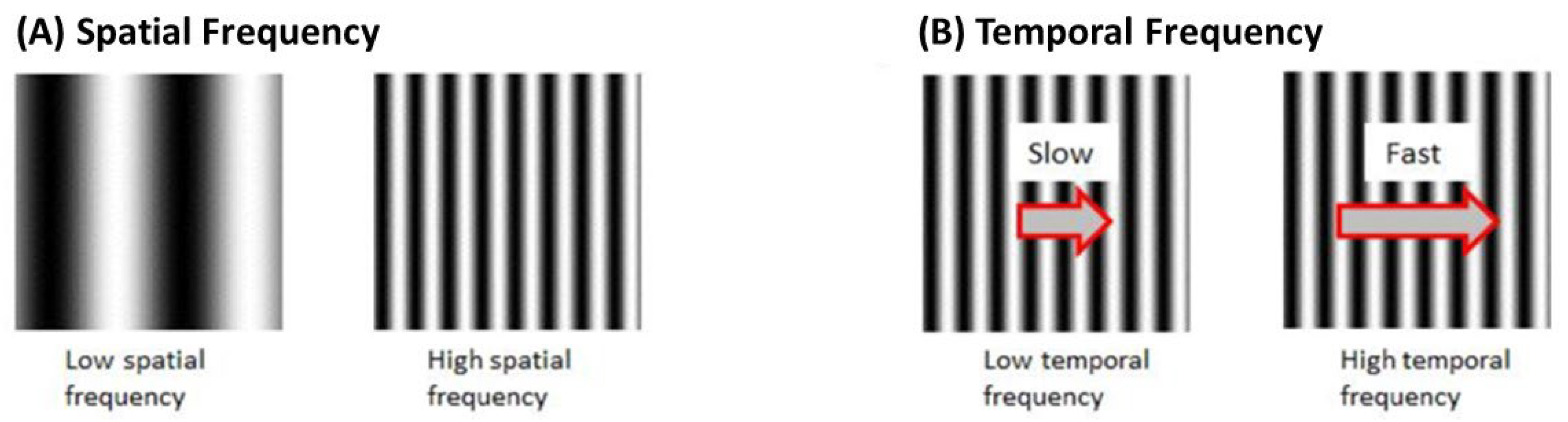 Biology 13 00004 g006 Biology 13 00004 g006