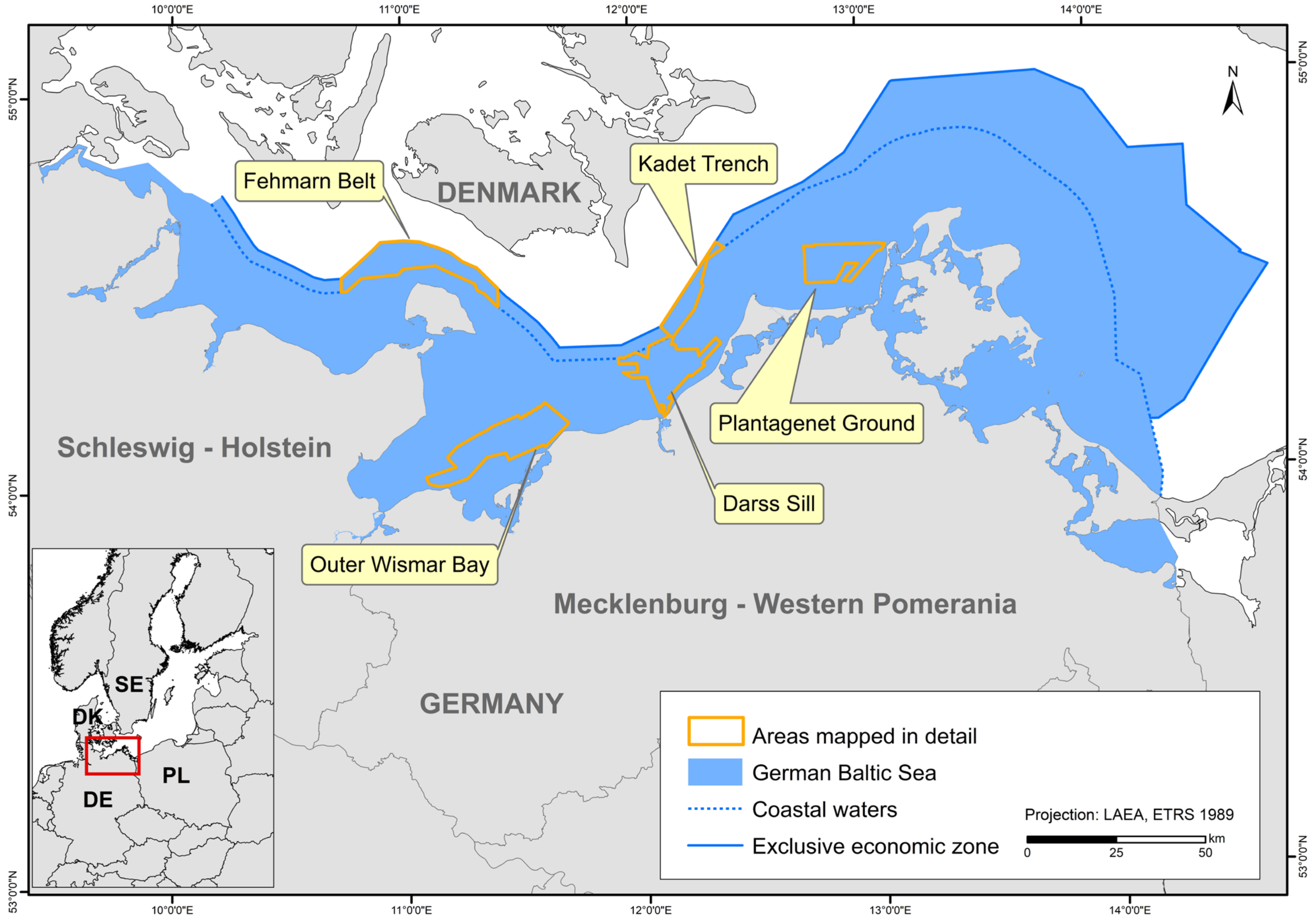 Biology 13 00006 g001