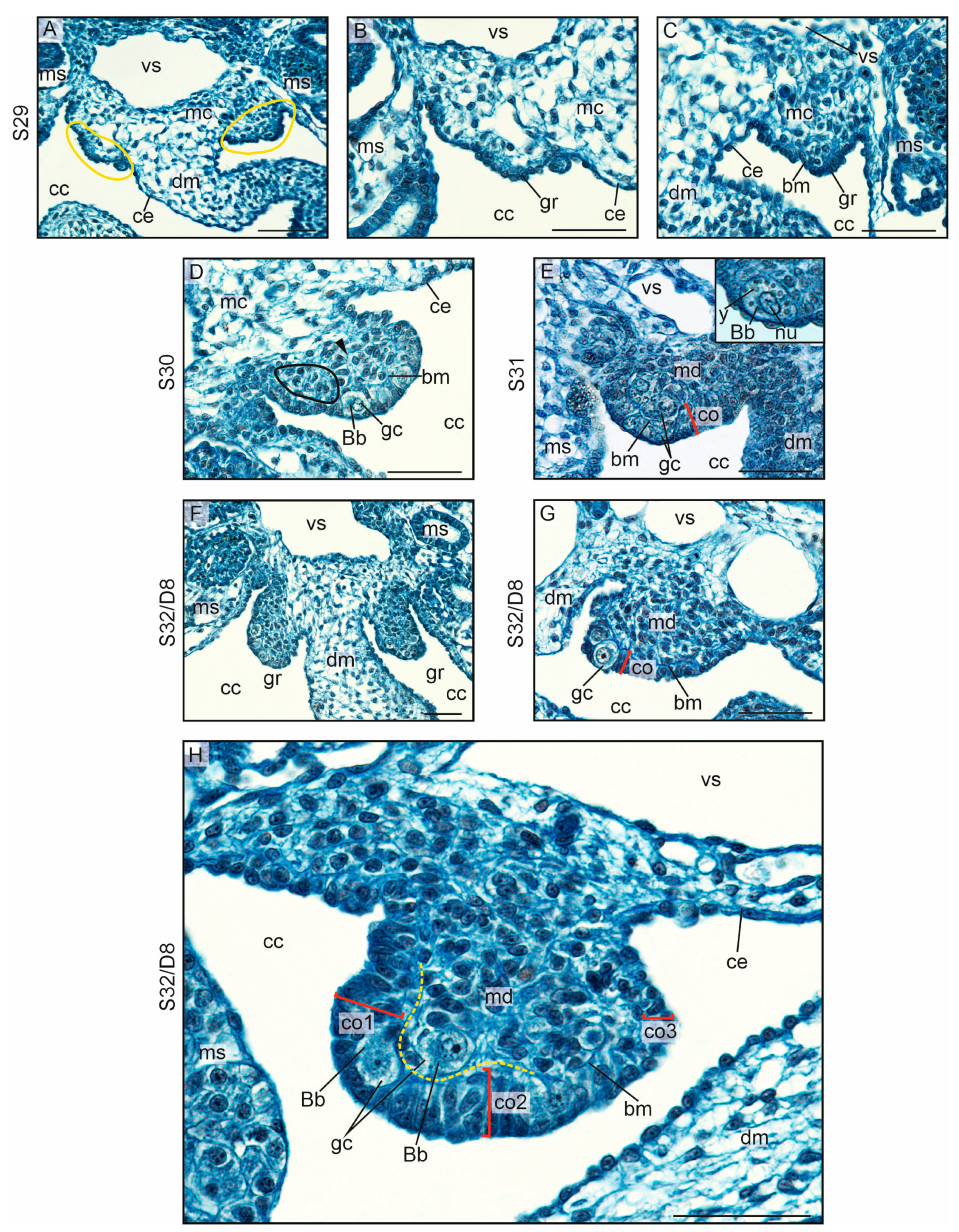 Biology 13 00007 g002
