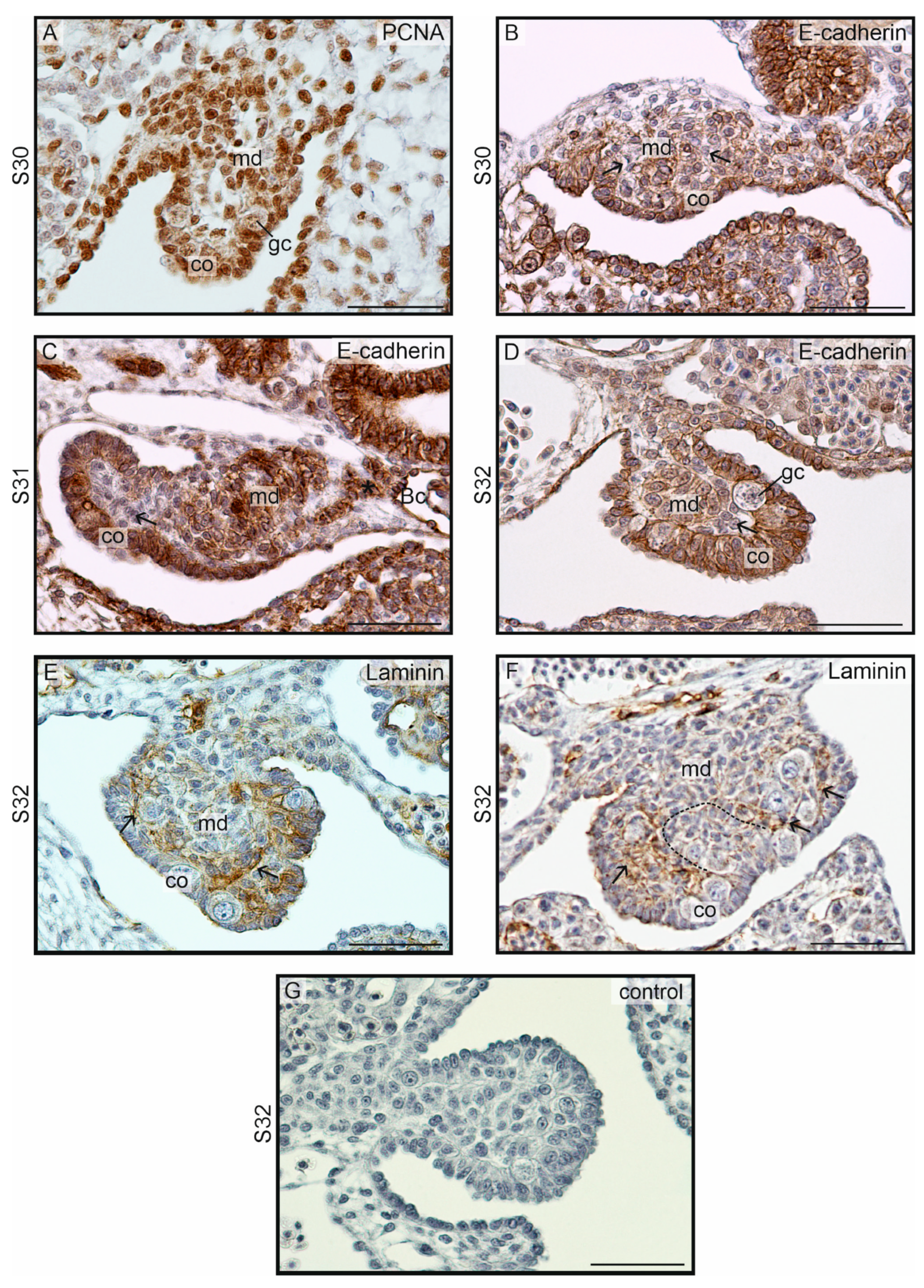 Biology 13 00007 g003