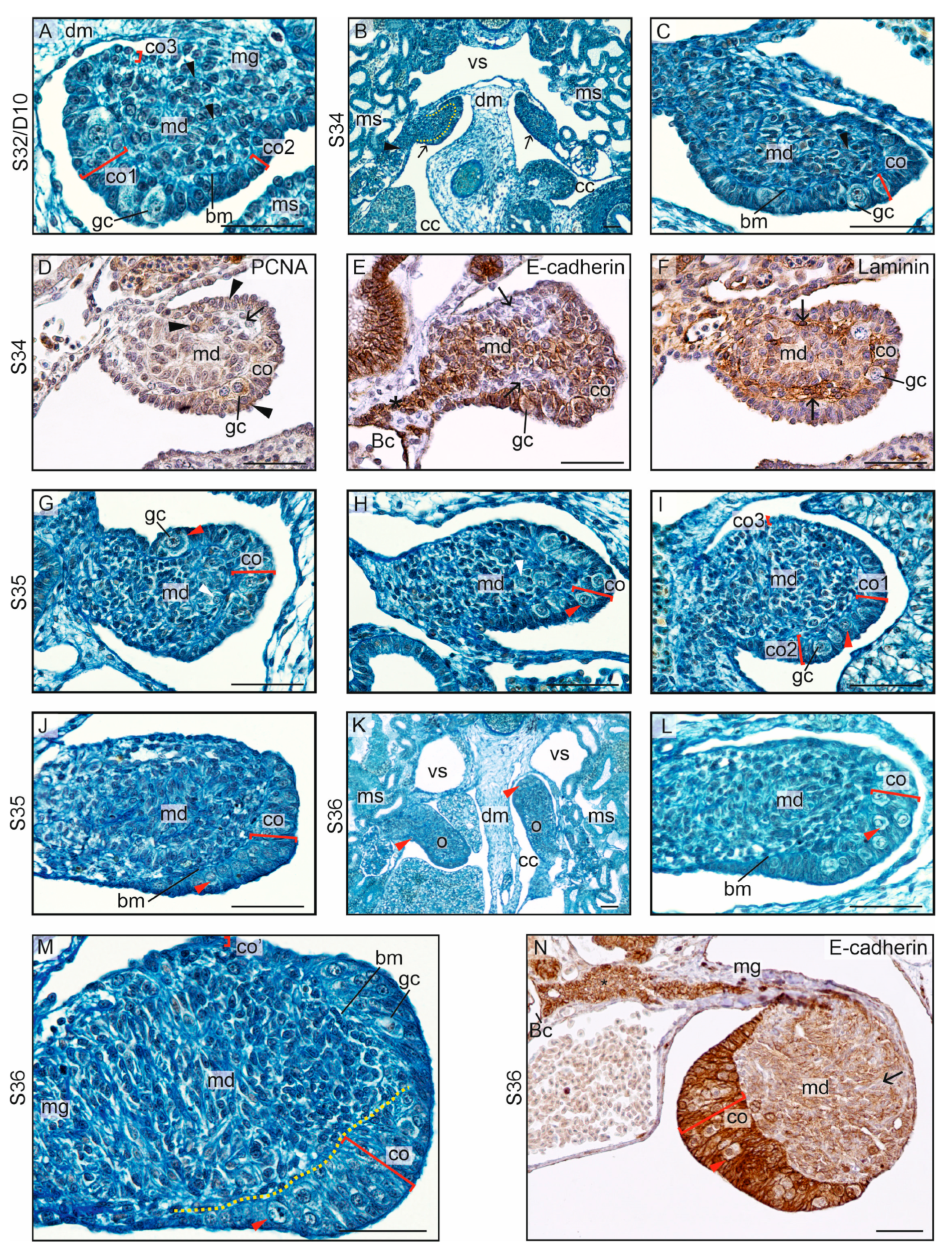 Biology 13 00007 g004