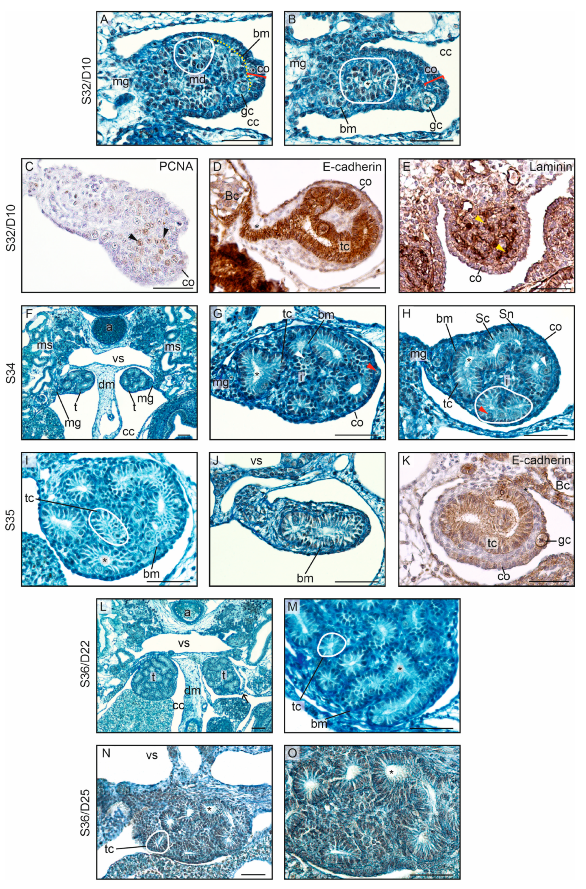 Biology 13 00007 g005