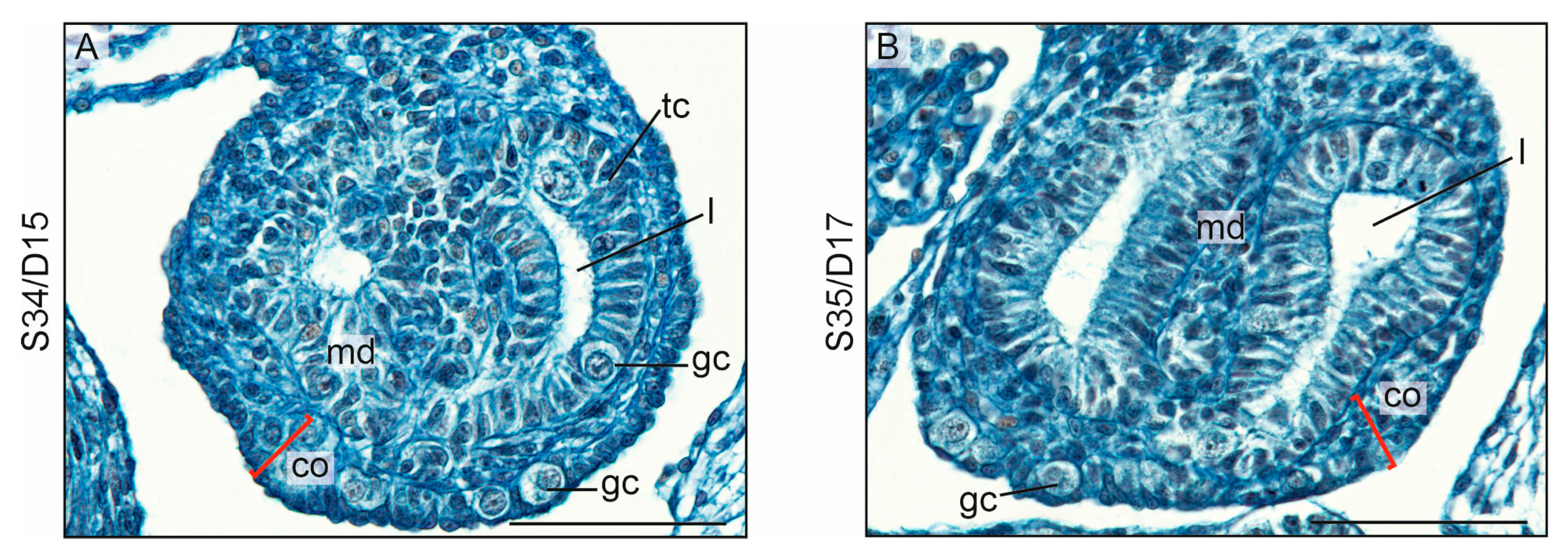 Biology 13 00007 g006
