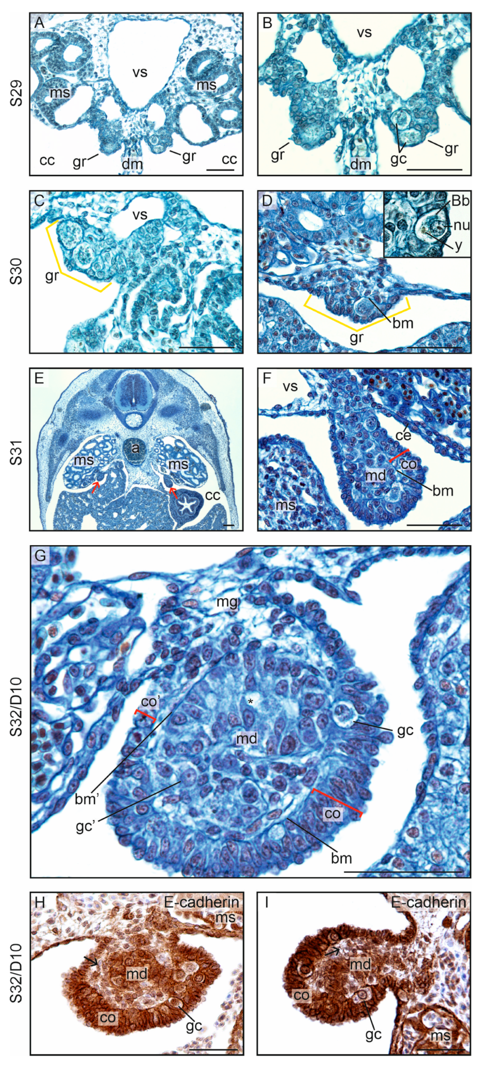 Biology 13 00007 g007
