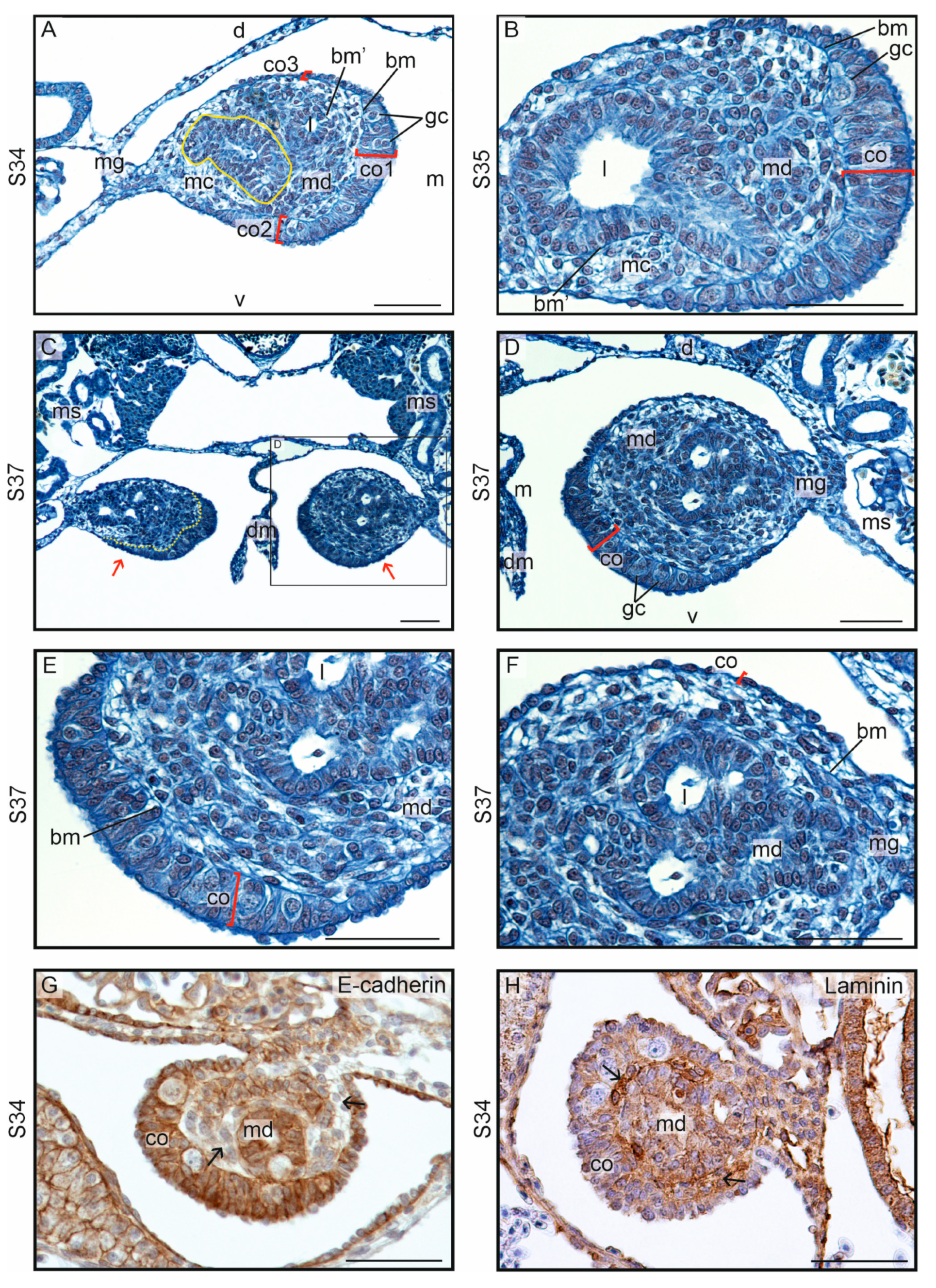 Biology 13 00007 g009