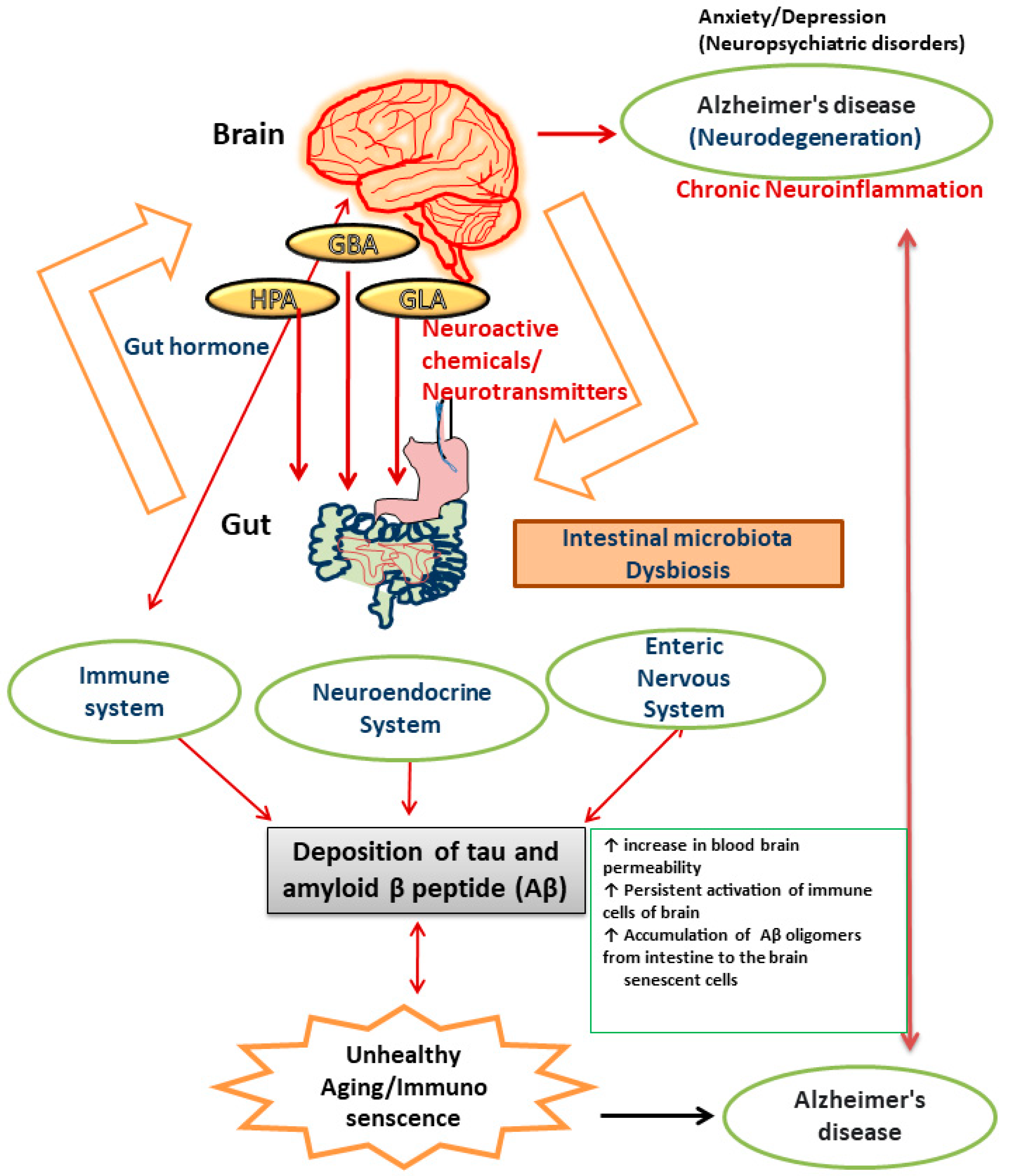 Biology 13 00008 g001
