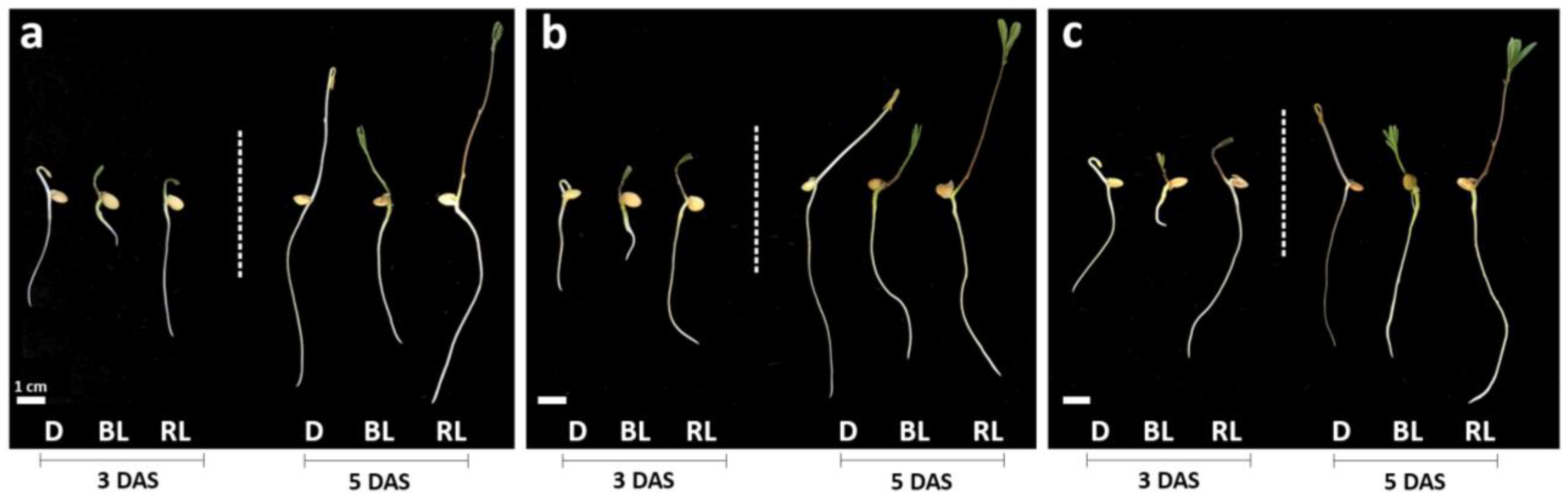 Biology 13 00012 g001
