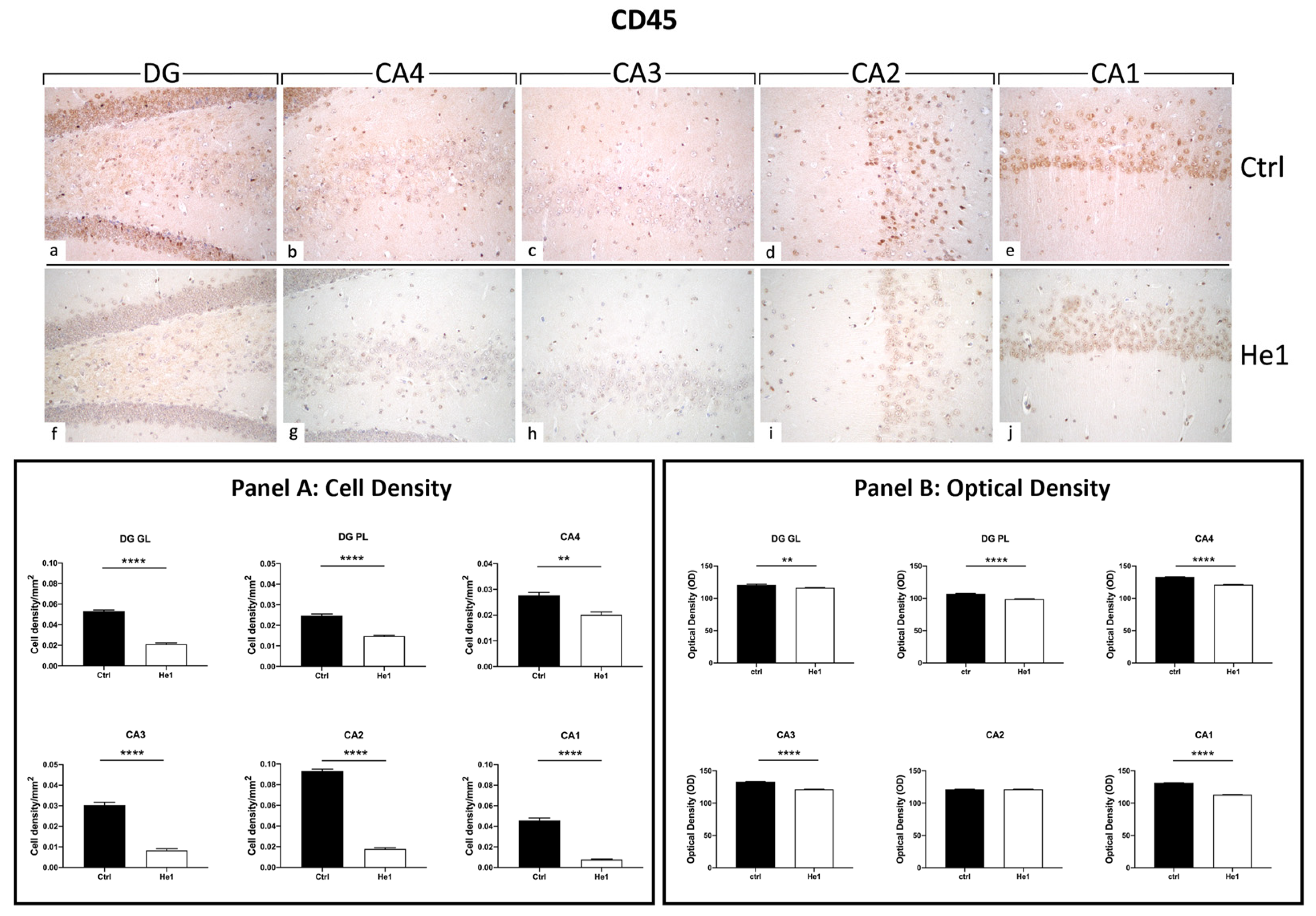 Biology 13 00018 g005