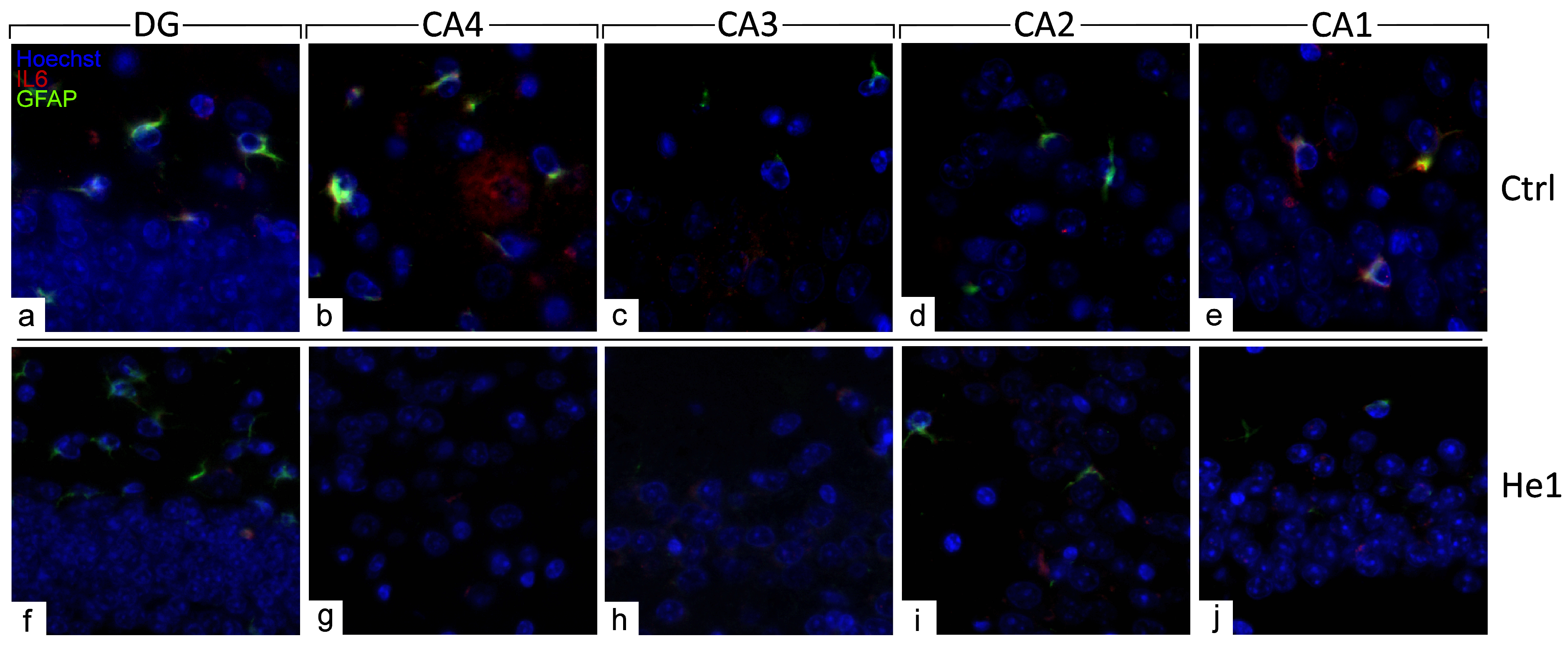 Biology 13 00018 g006