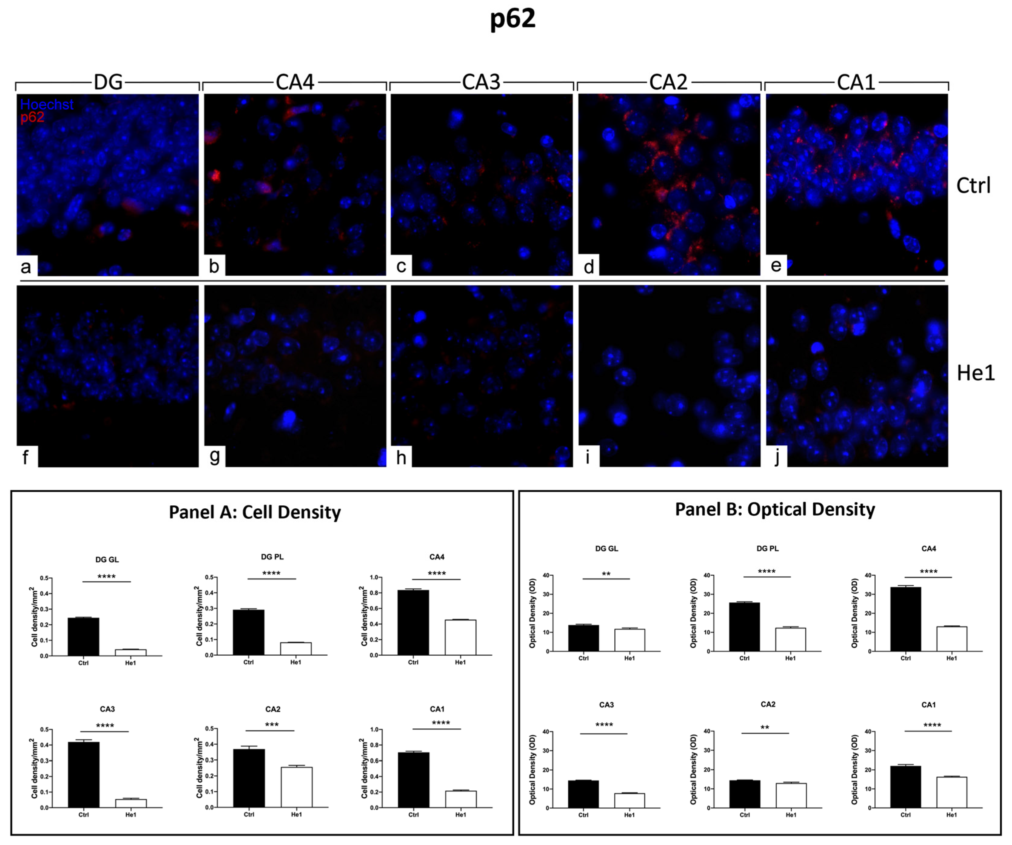 Biology 13 00018 g008