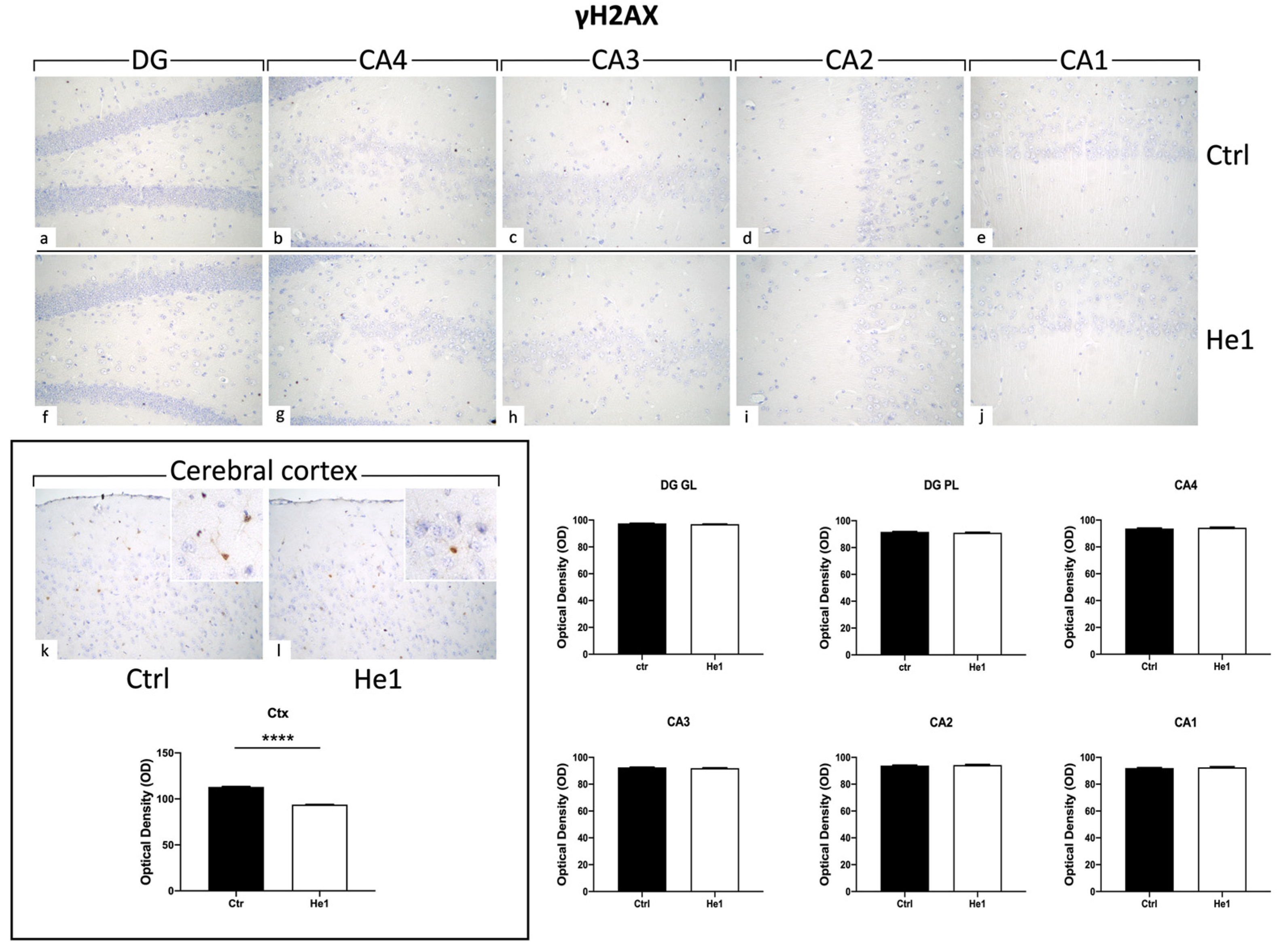Biology 13 00018 g009