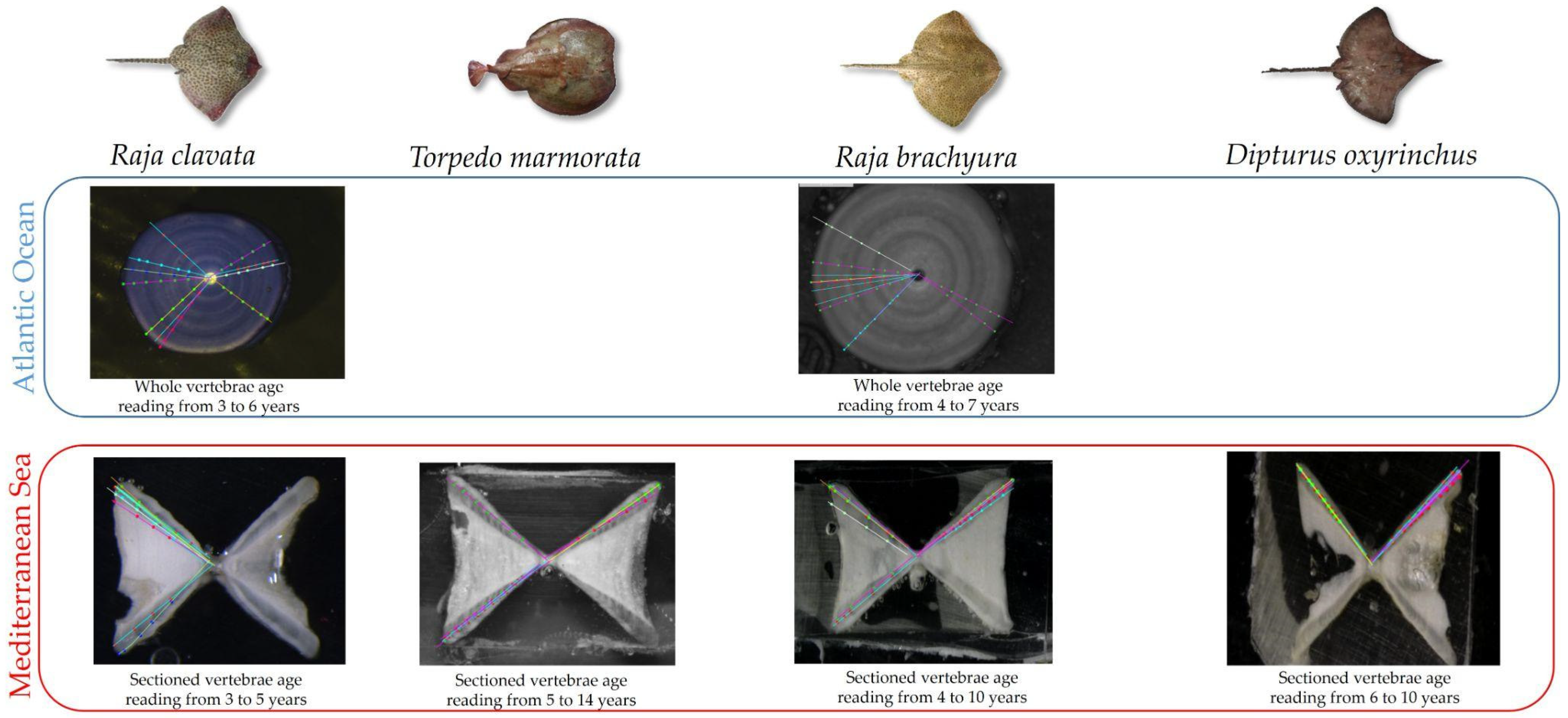 Biology 13 00020 g001