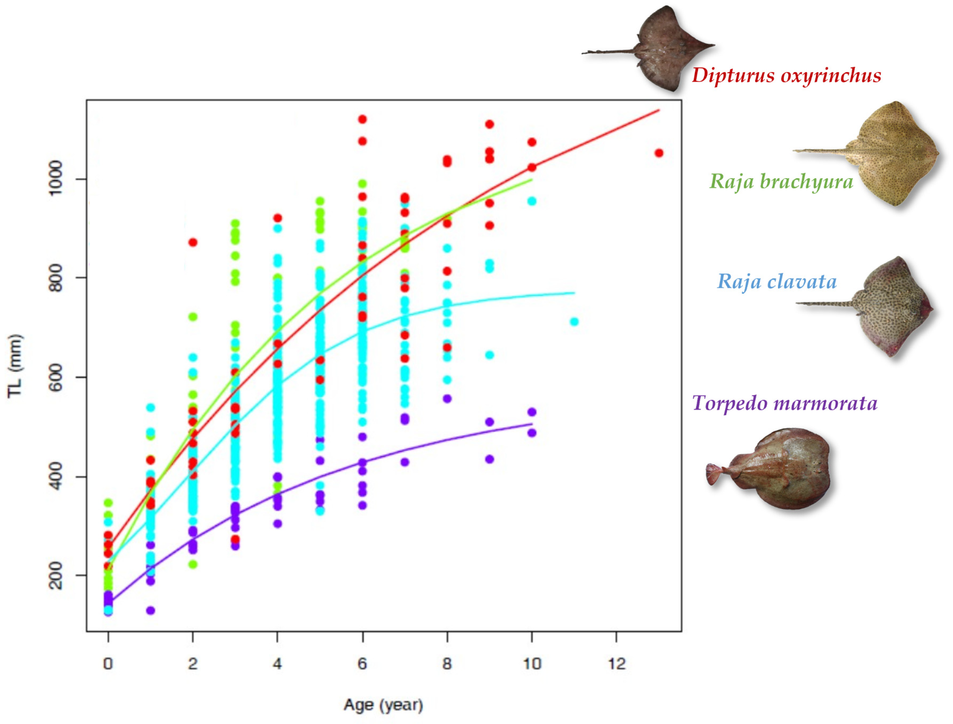 Biology 13 00020 g004