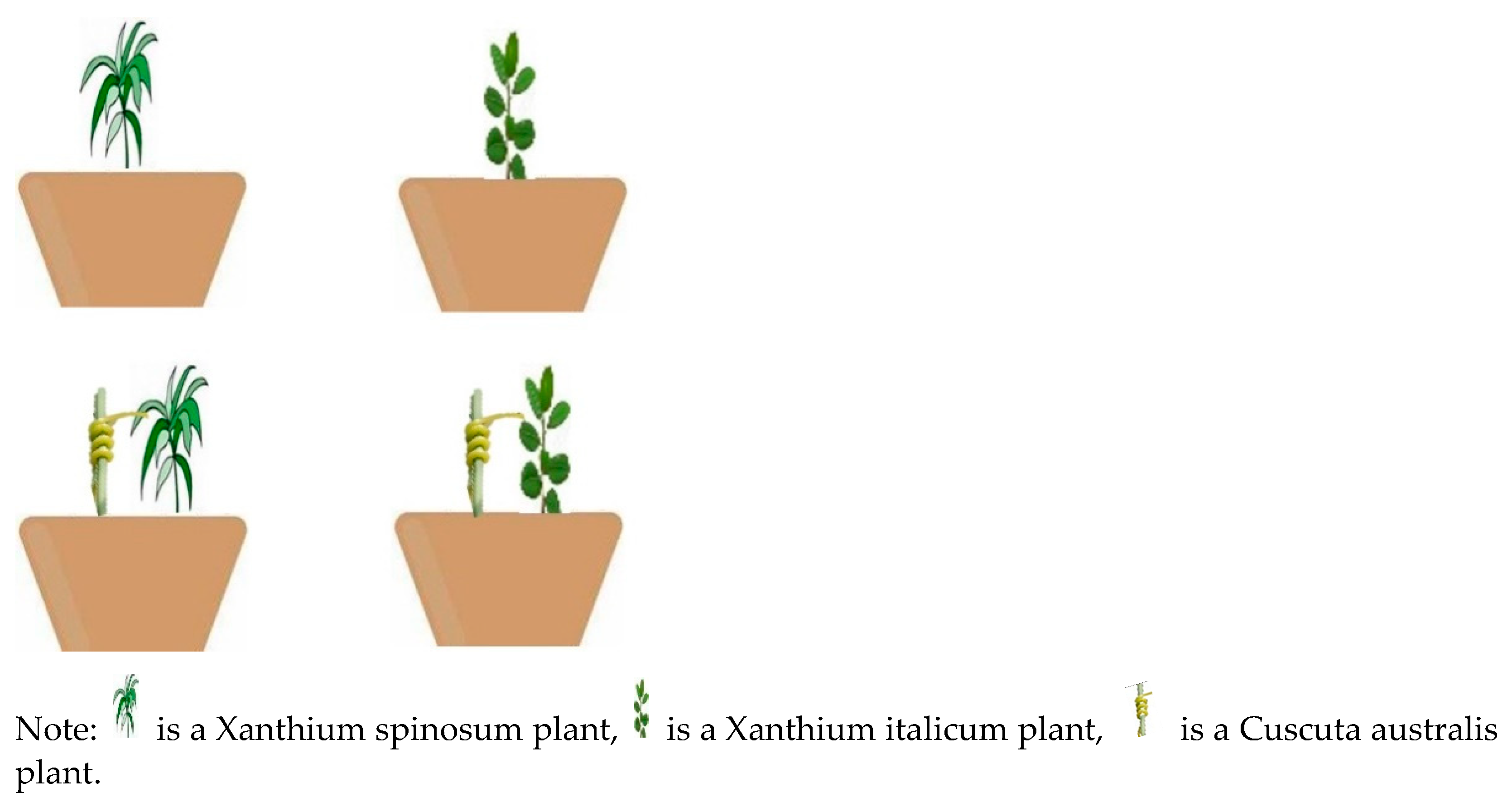 Biology 13 00023 g001 Biology 13 00023 g001
