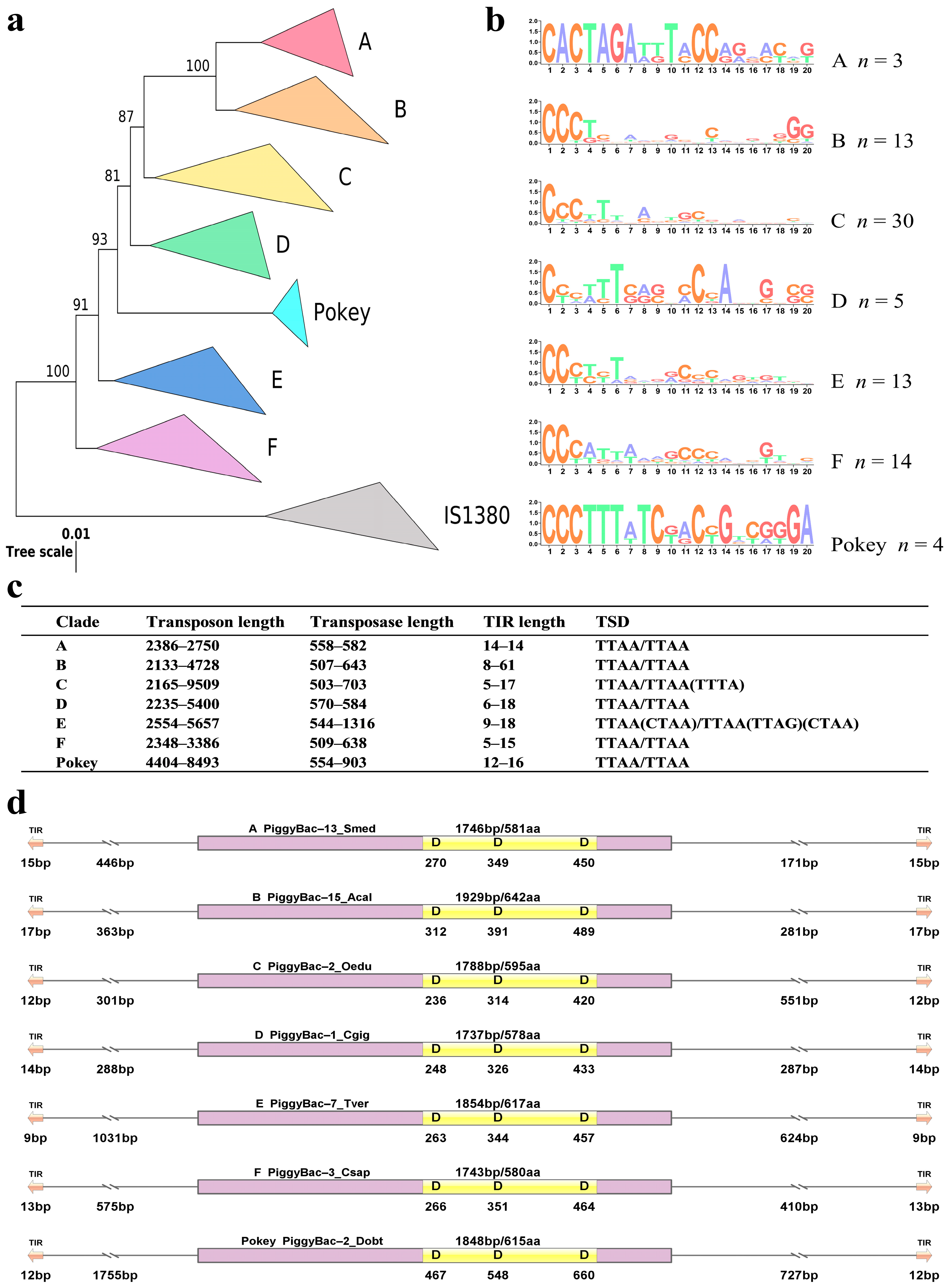 Biology 13 00024 g001