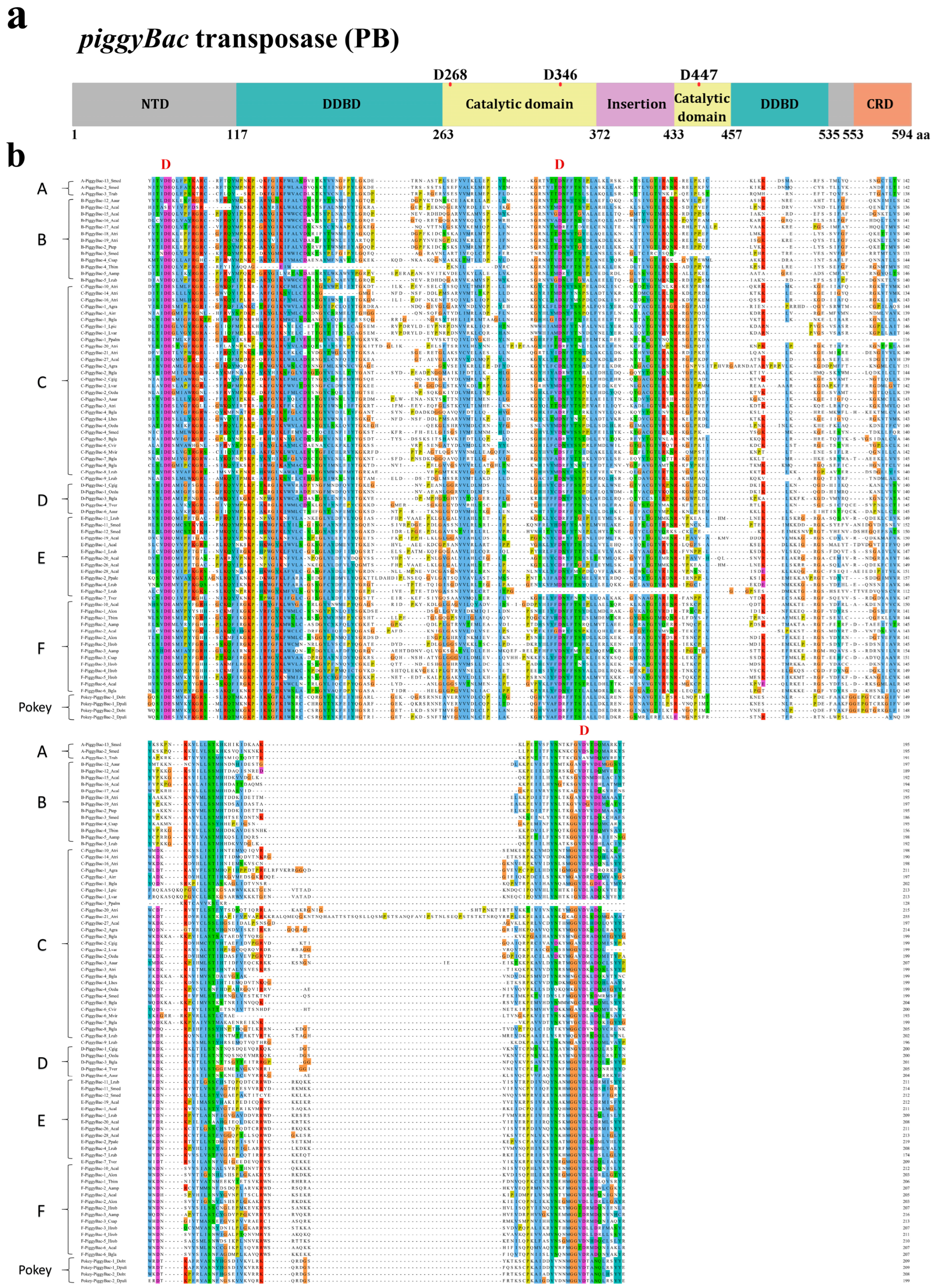 Biology 13 00024 g002