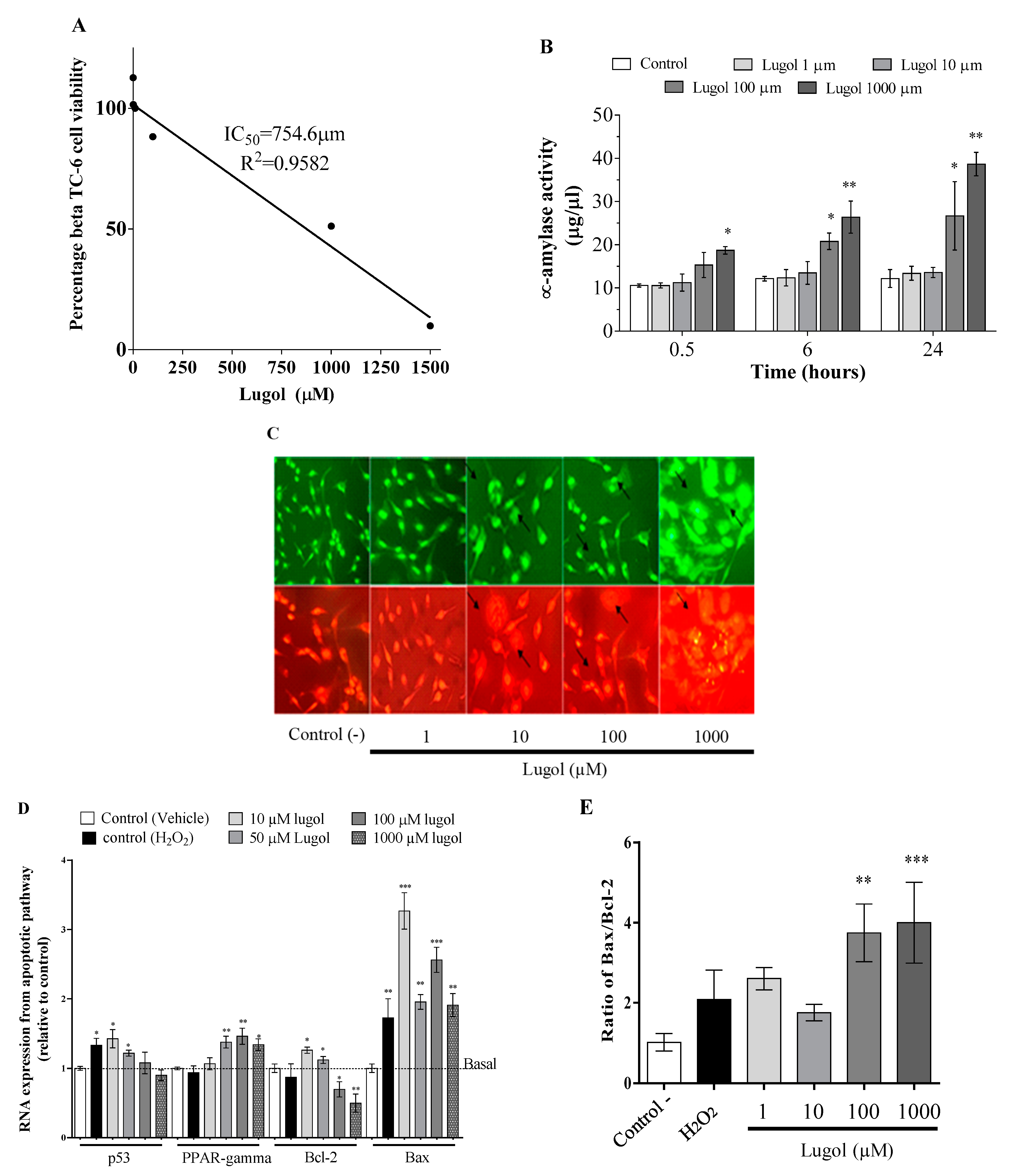 Biology 13 00026 g003